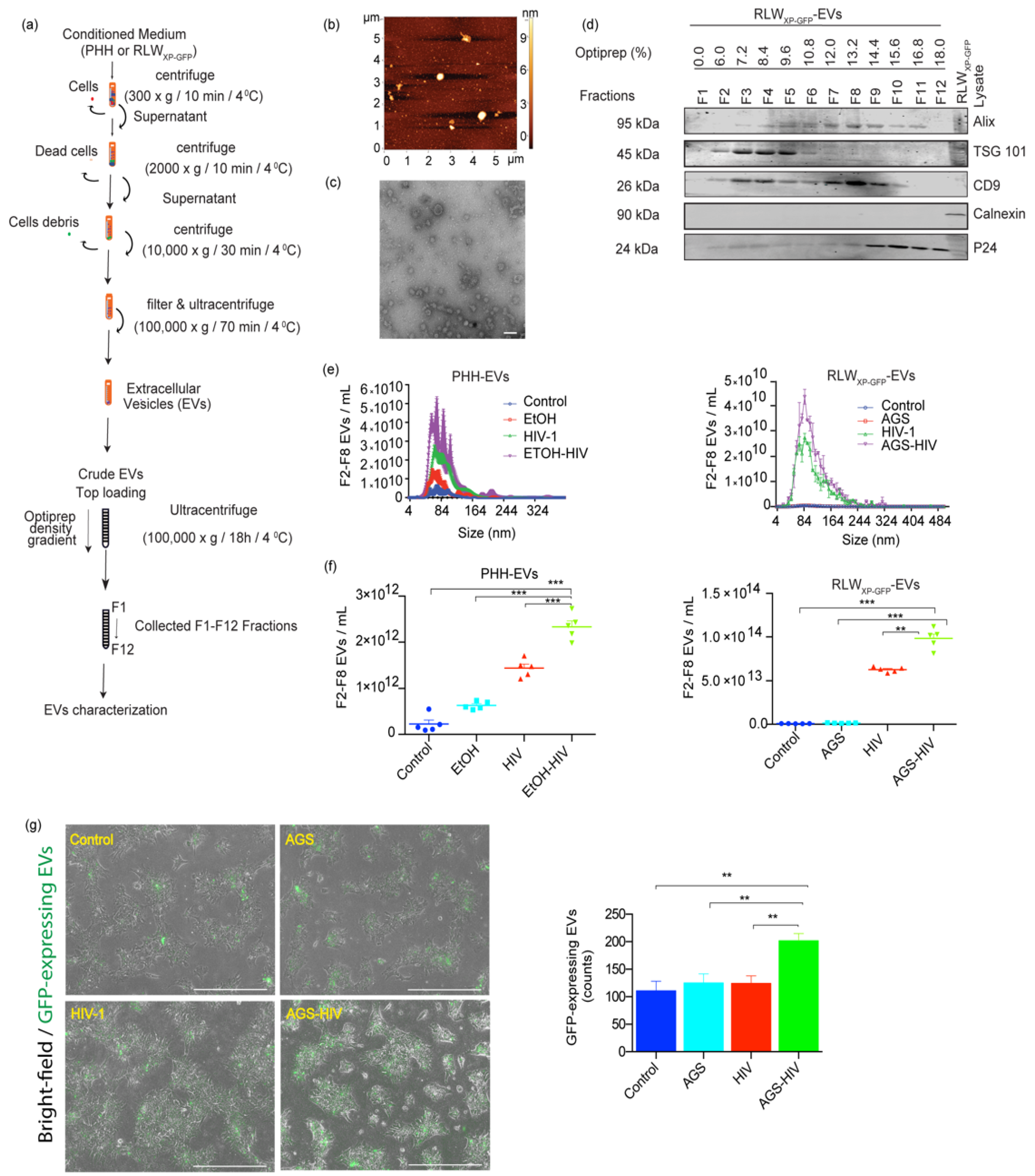 Biology 10 00029 g001 Biology 10 00029 g001