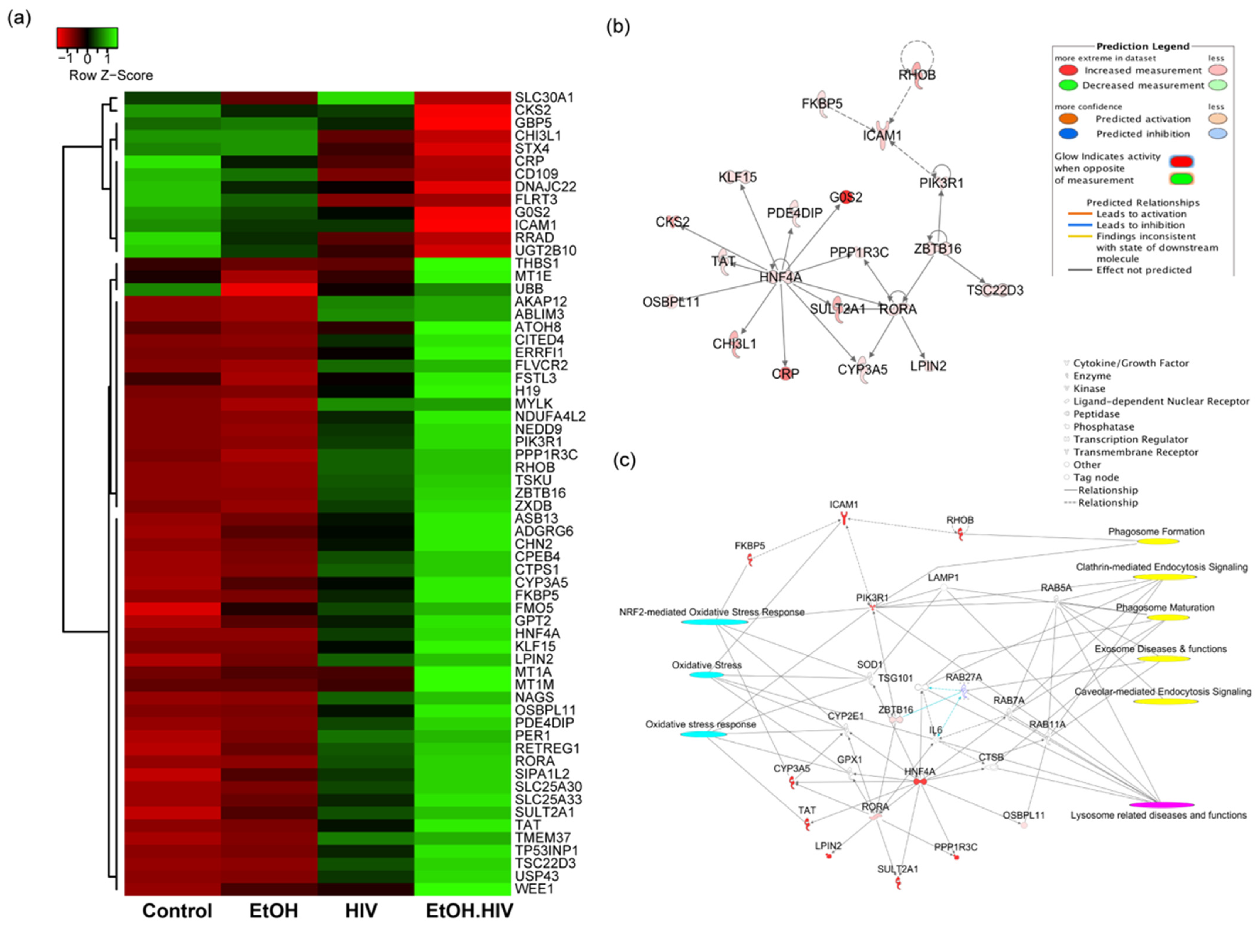 Biology 10 00029 g003 Biology 10 00029 g003