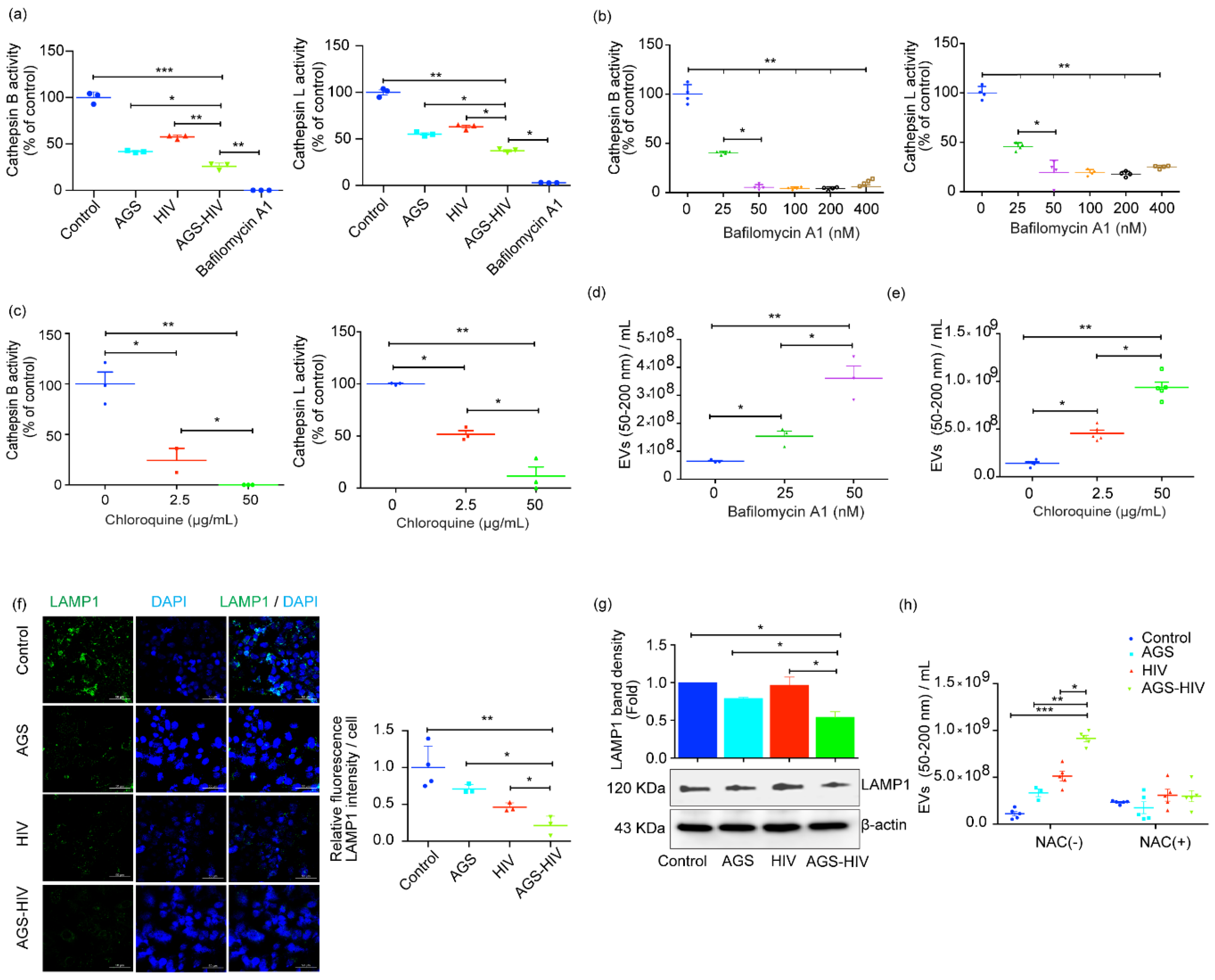 Biology 10 00029 g004 Biology 10 00029 g004