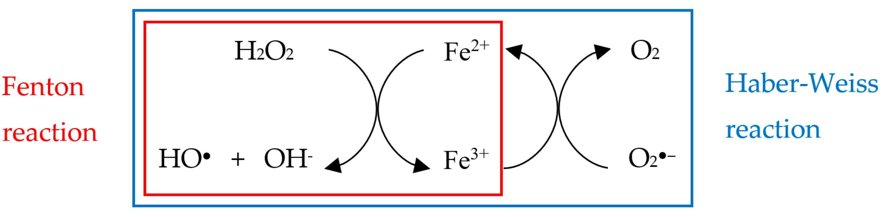 Biology 10 00033 i001 Biology 10 00033 i001