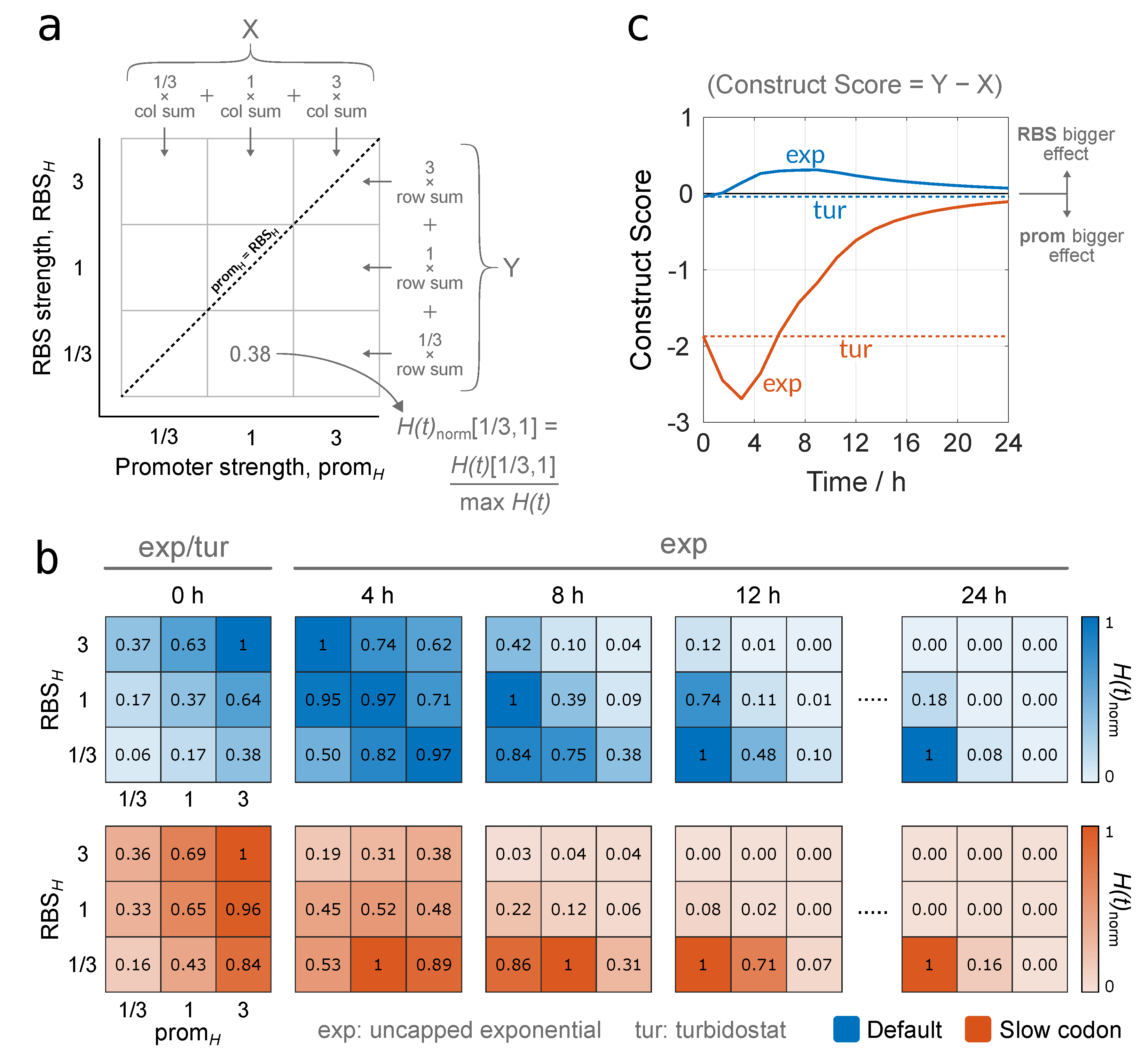 Biology 10 00037 g006