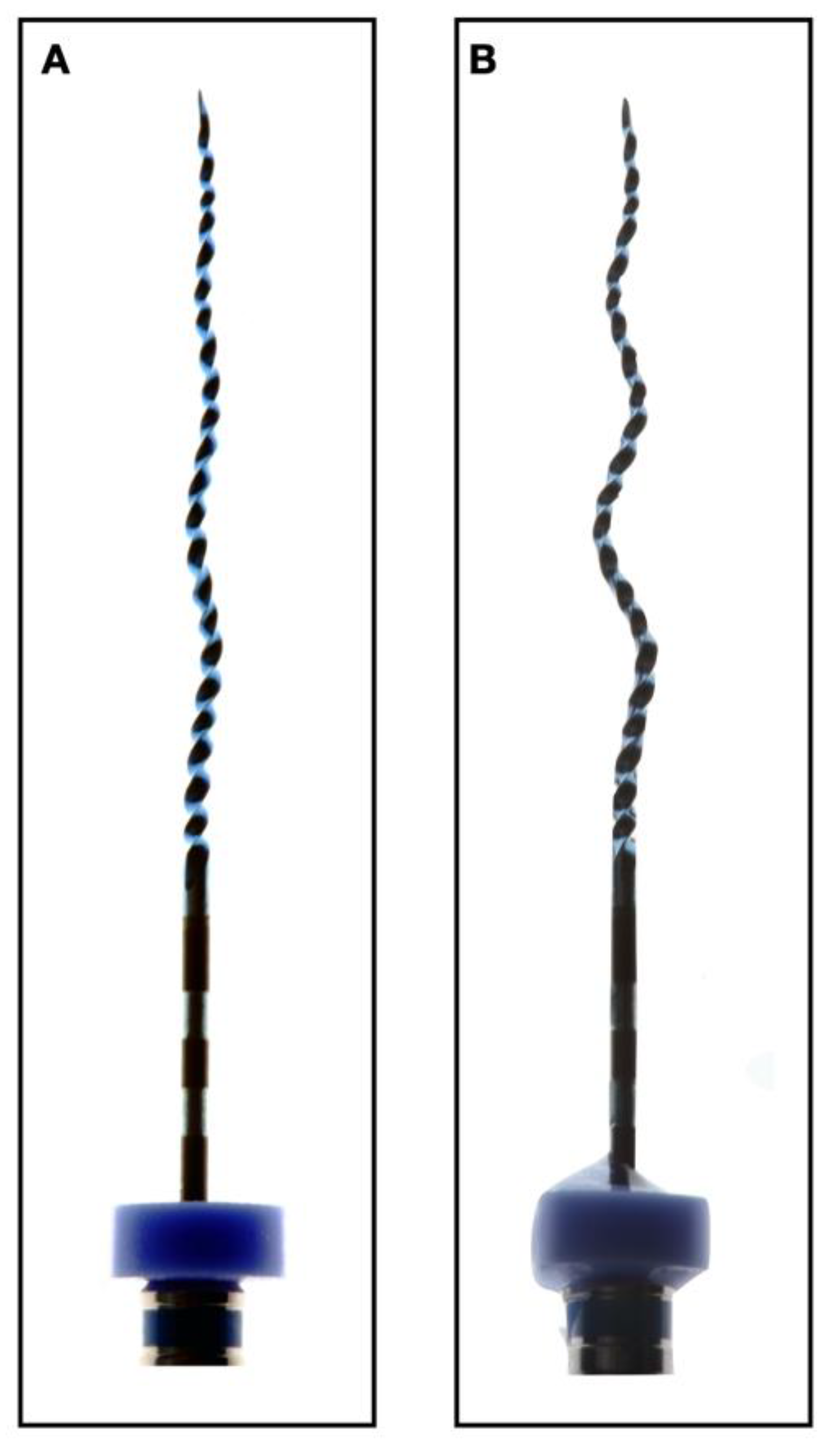 Biology 10 00042 g001