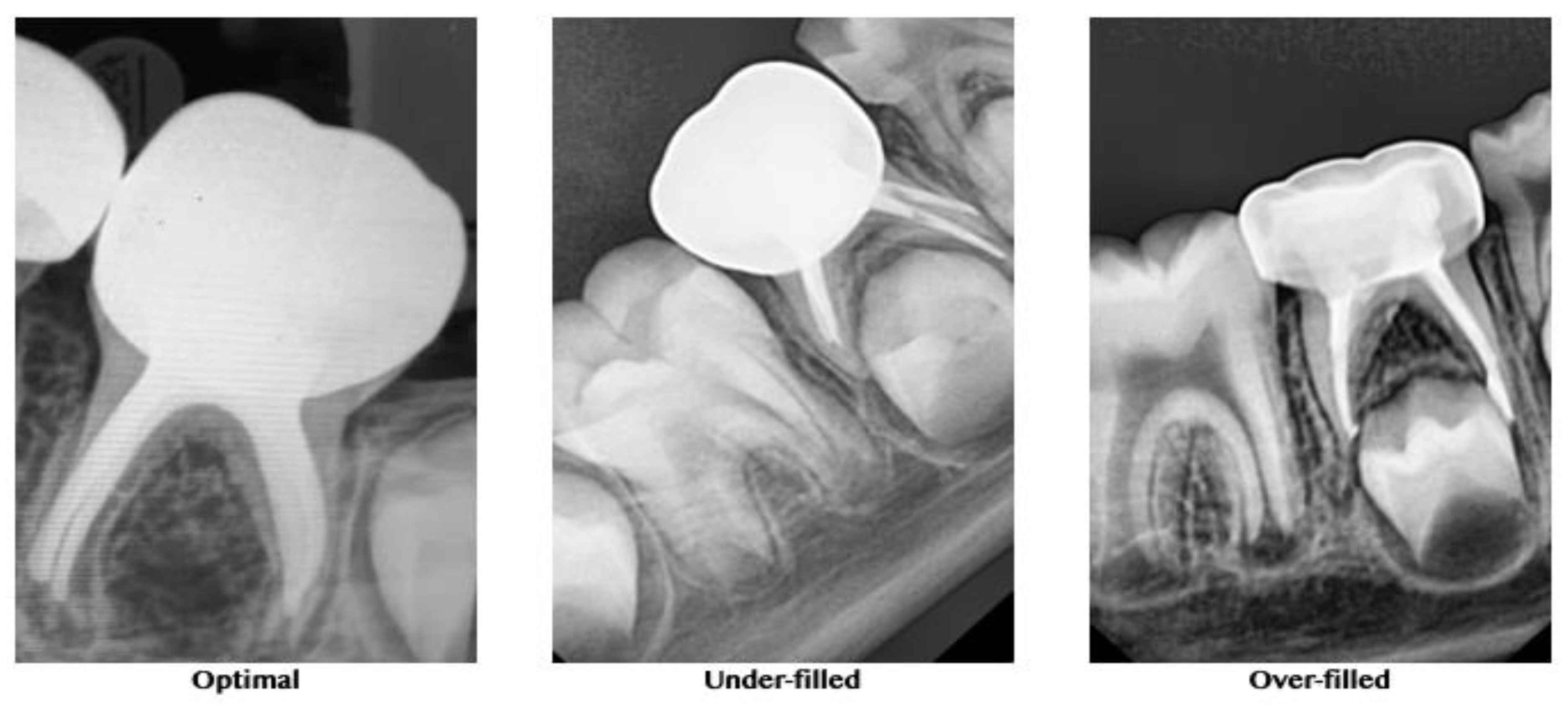 Biology 10 00042 g003