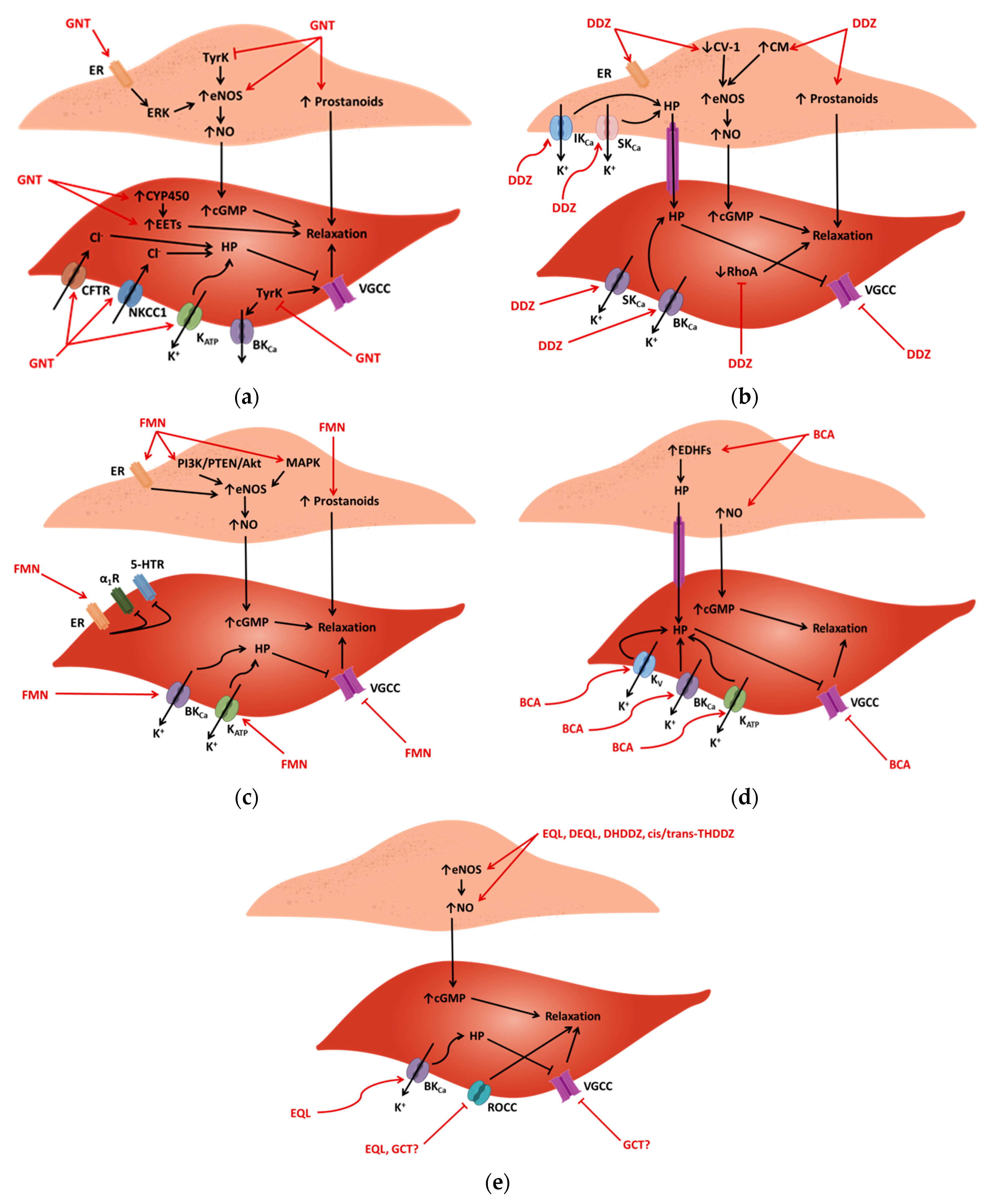 Biology 10 00049 g002
