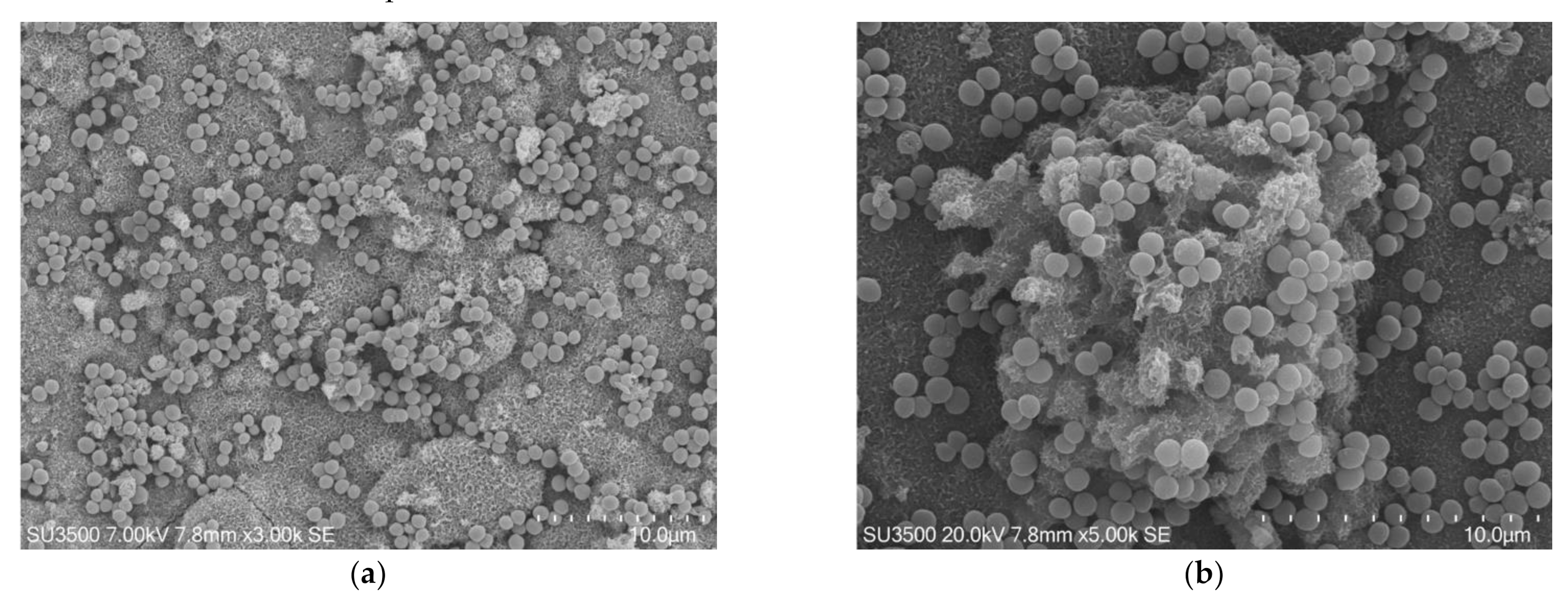 Biology 10 00051 g001