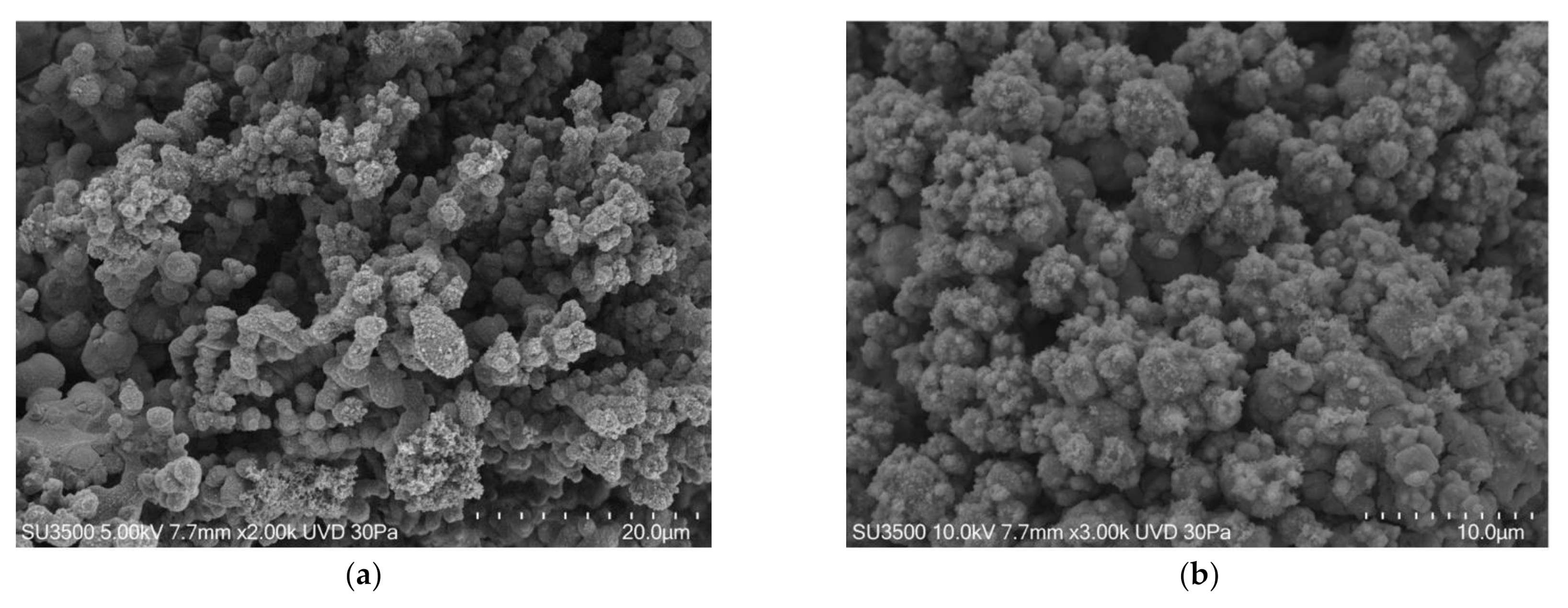 Biology 10 00051 g003