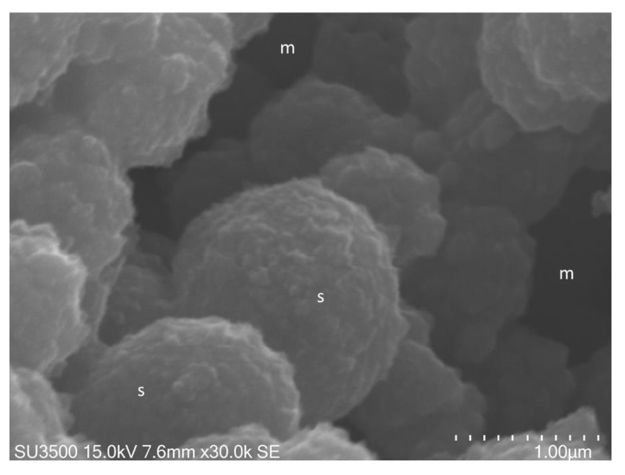 Biology 10 00051 g008