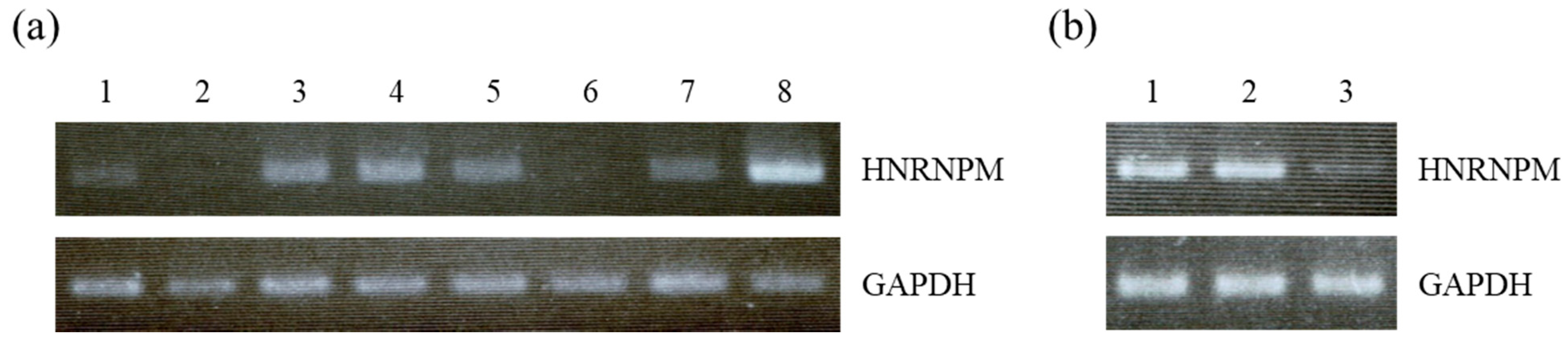 Biology 10 00057 g001 Biology 10 00057 g001