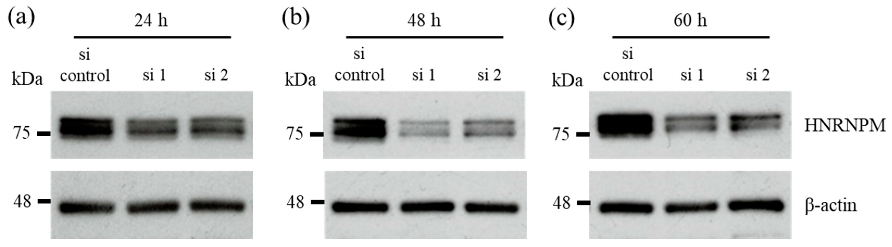Biology 10 00057 g002 Biology 10 00057 g002