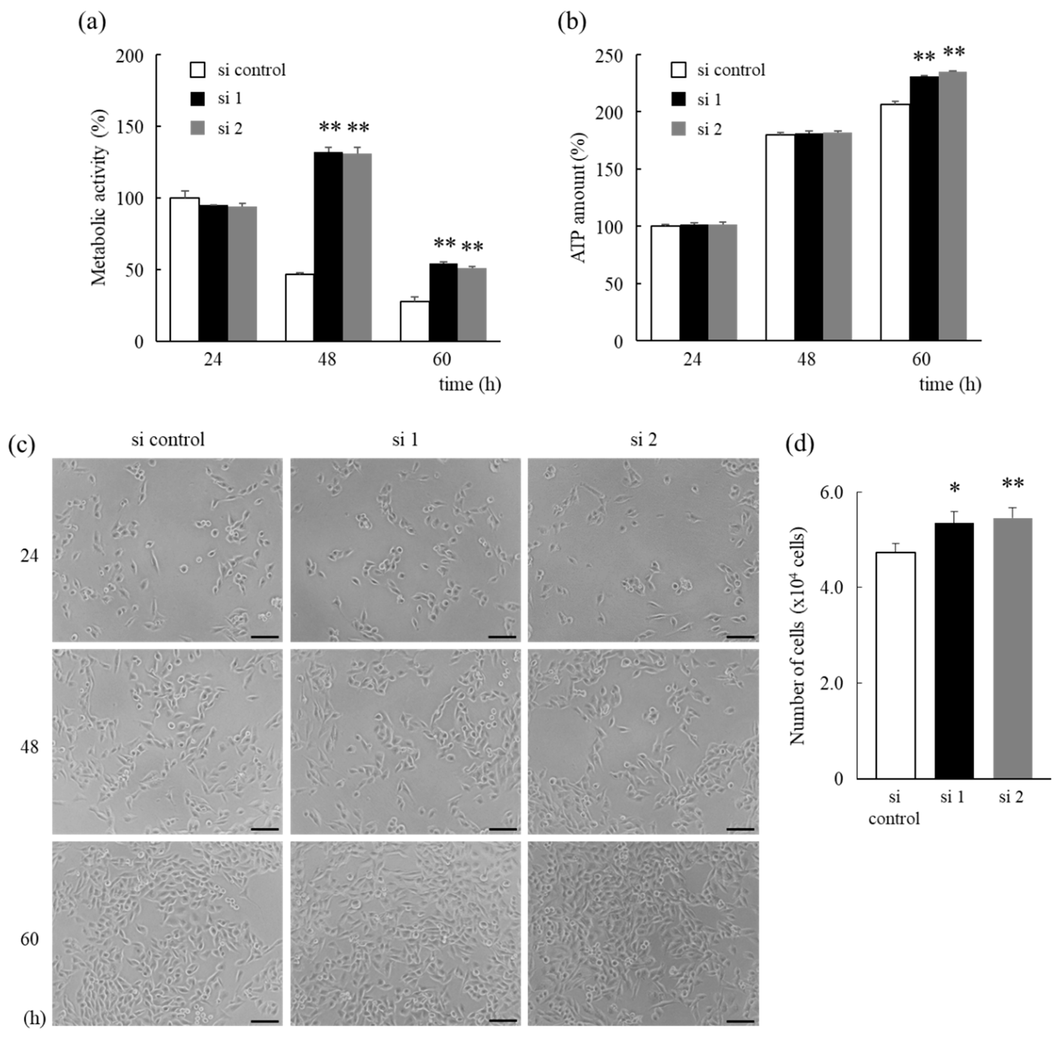Biology 10 00057 g003 Biology 10 00057 g003