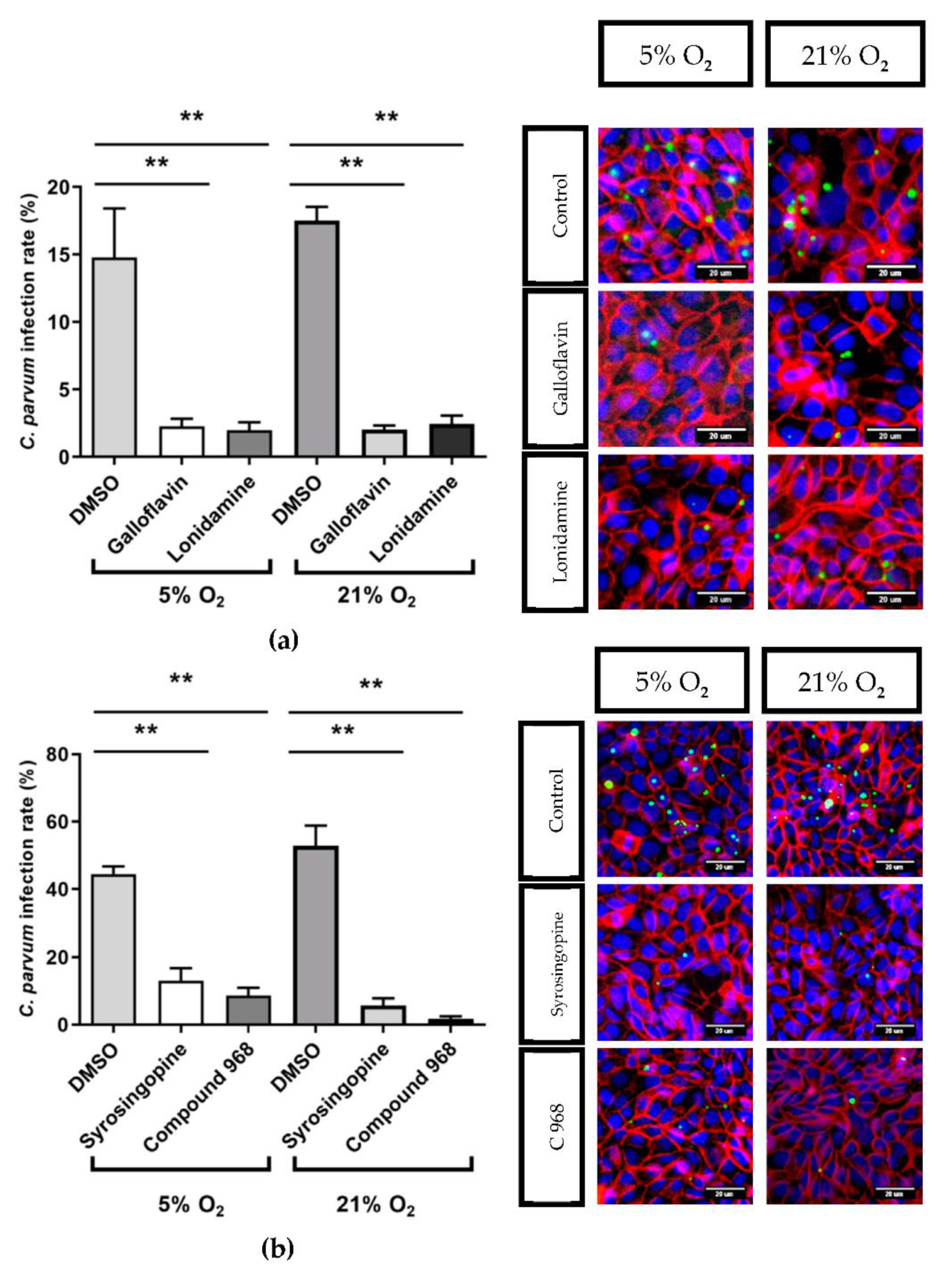 Biology 10 00060 g008