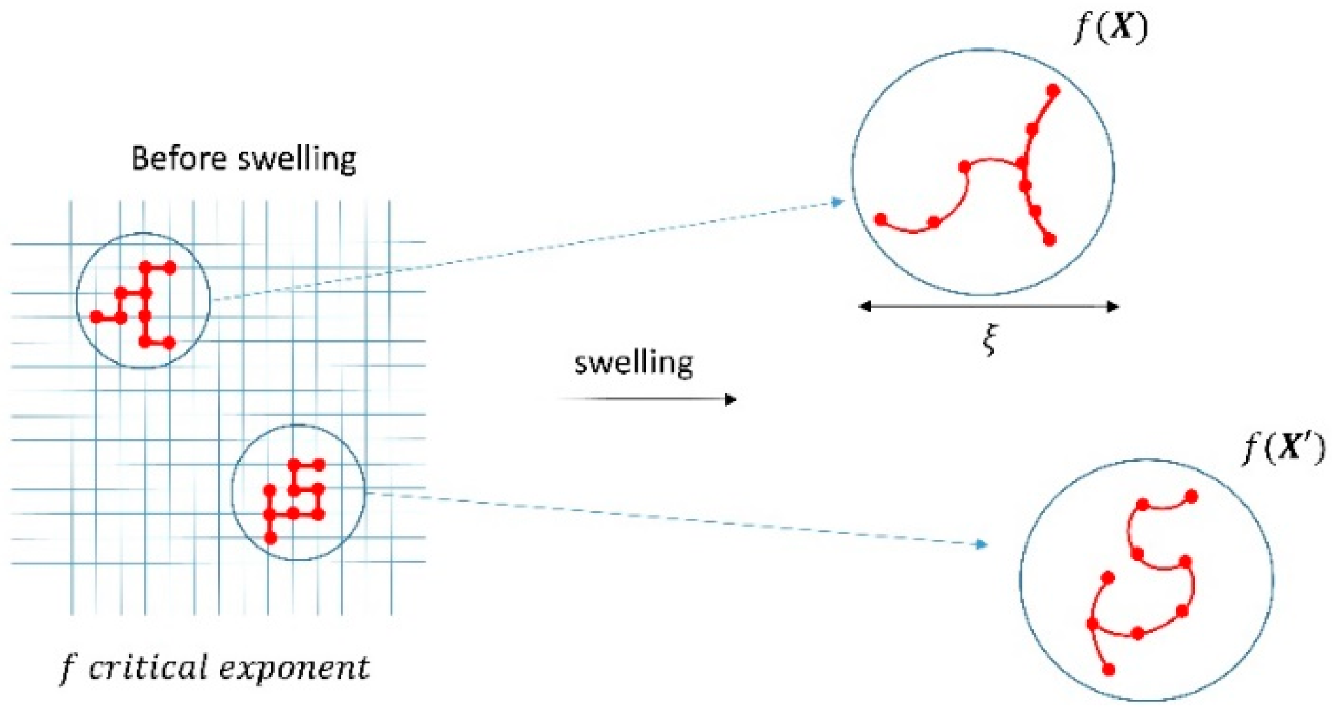 Biology 10 00064 g002