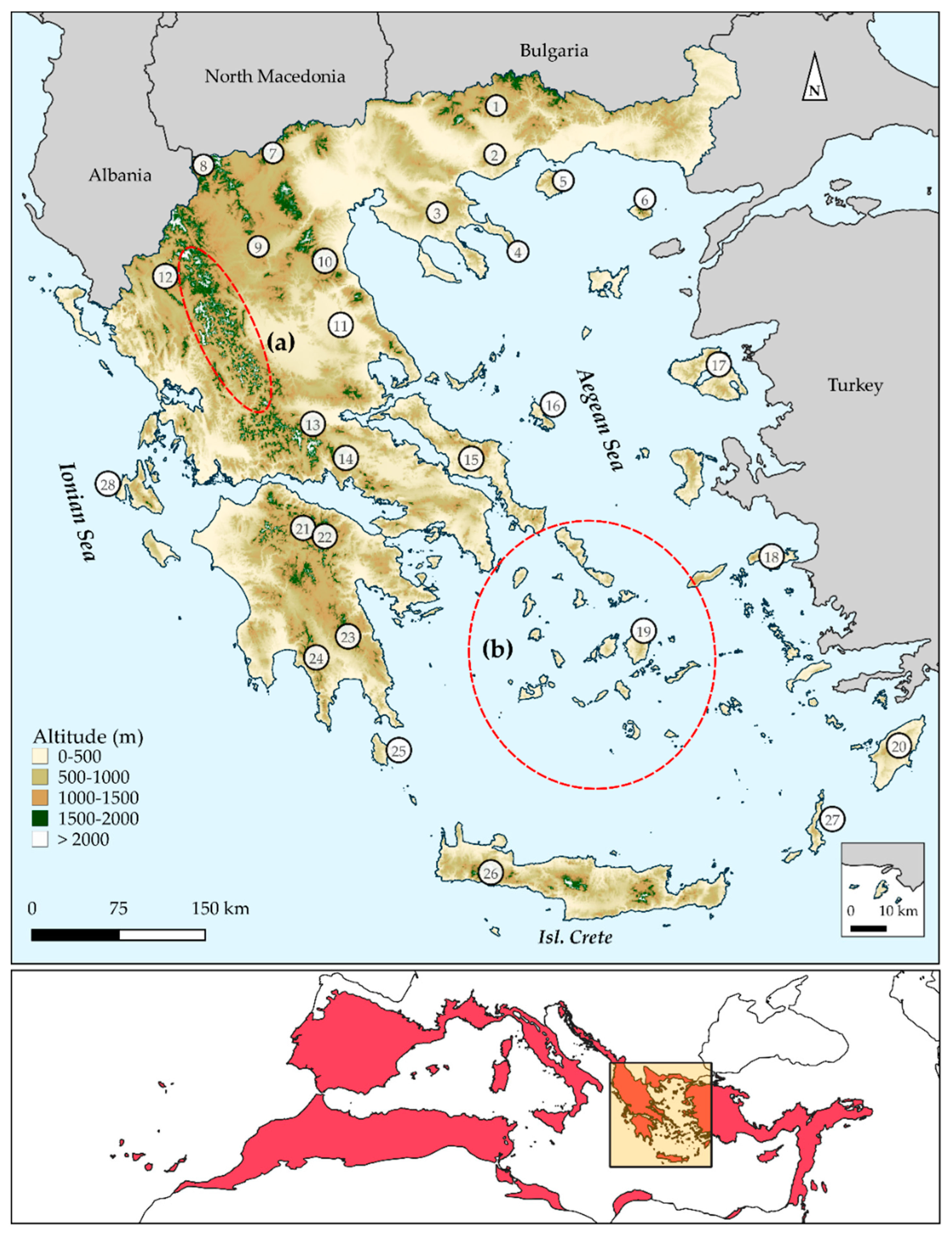 Biology 10 00072 g001