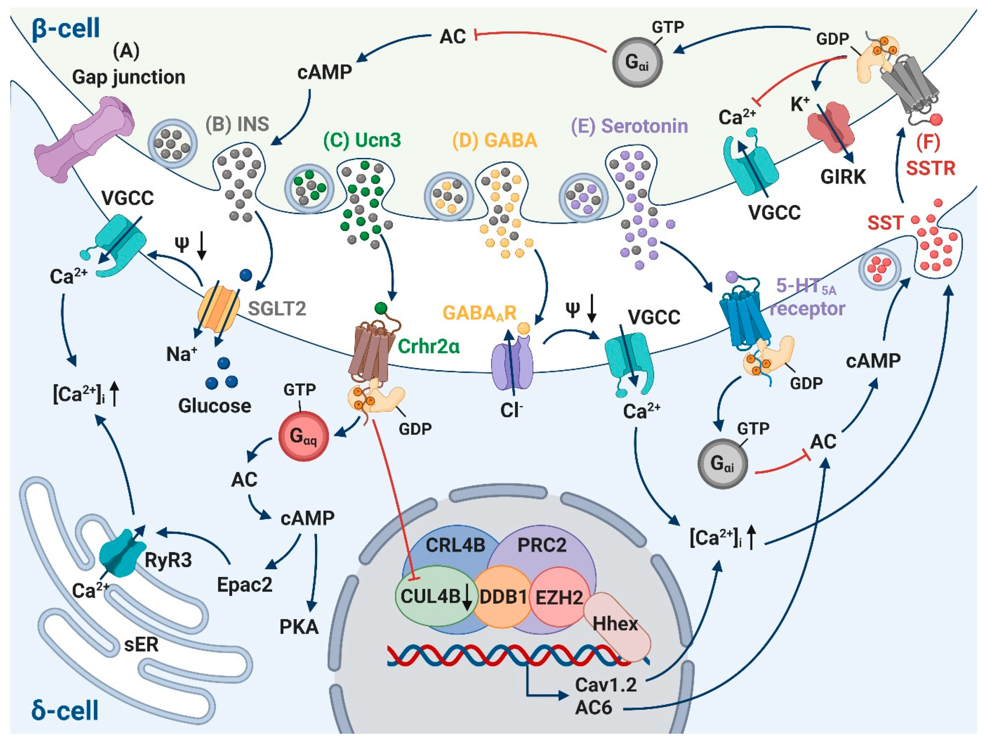Biology 10 00074 g003