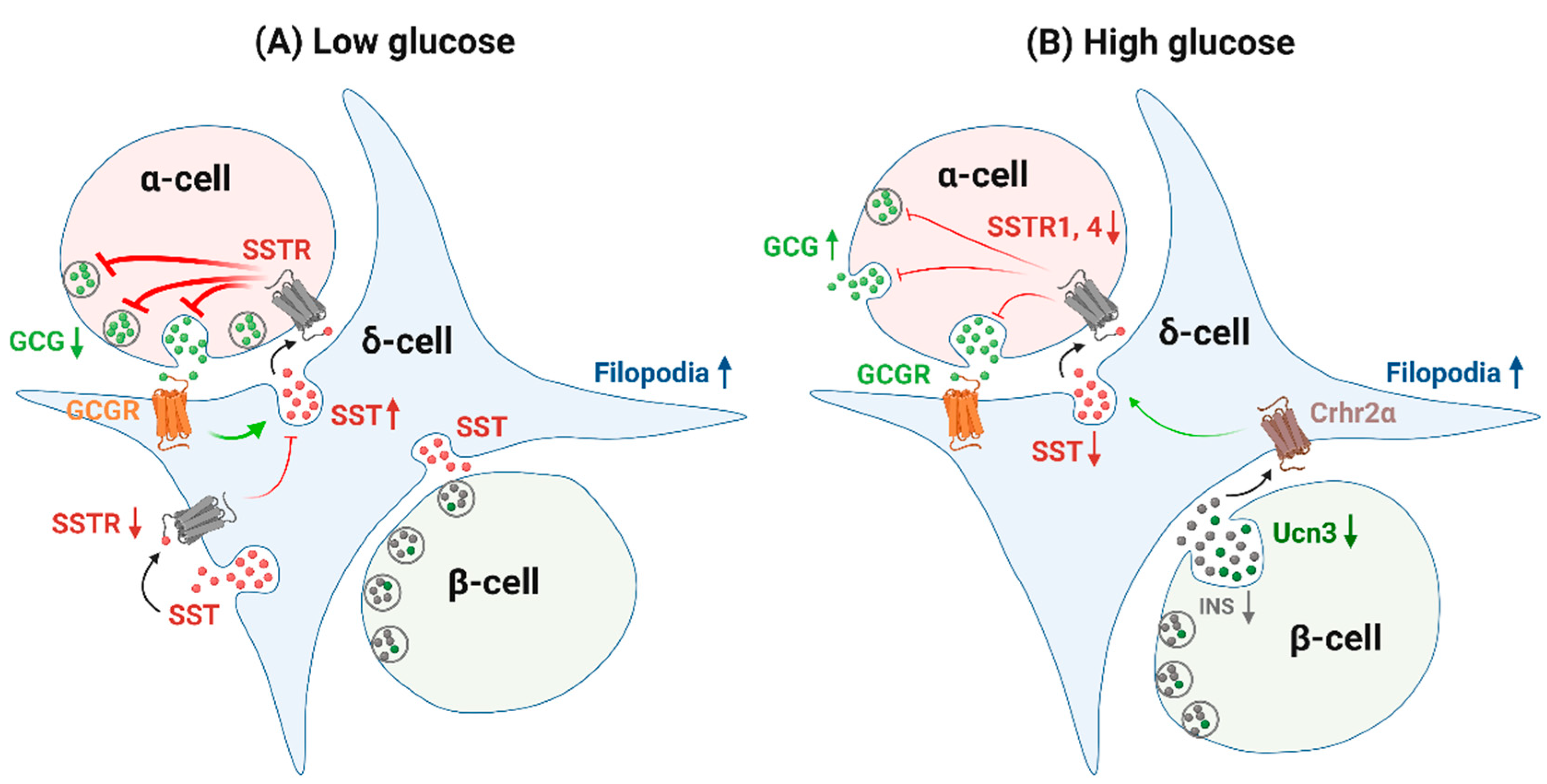Biology 10 00074 g005