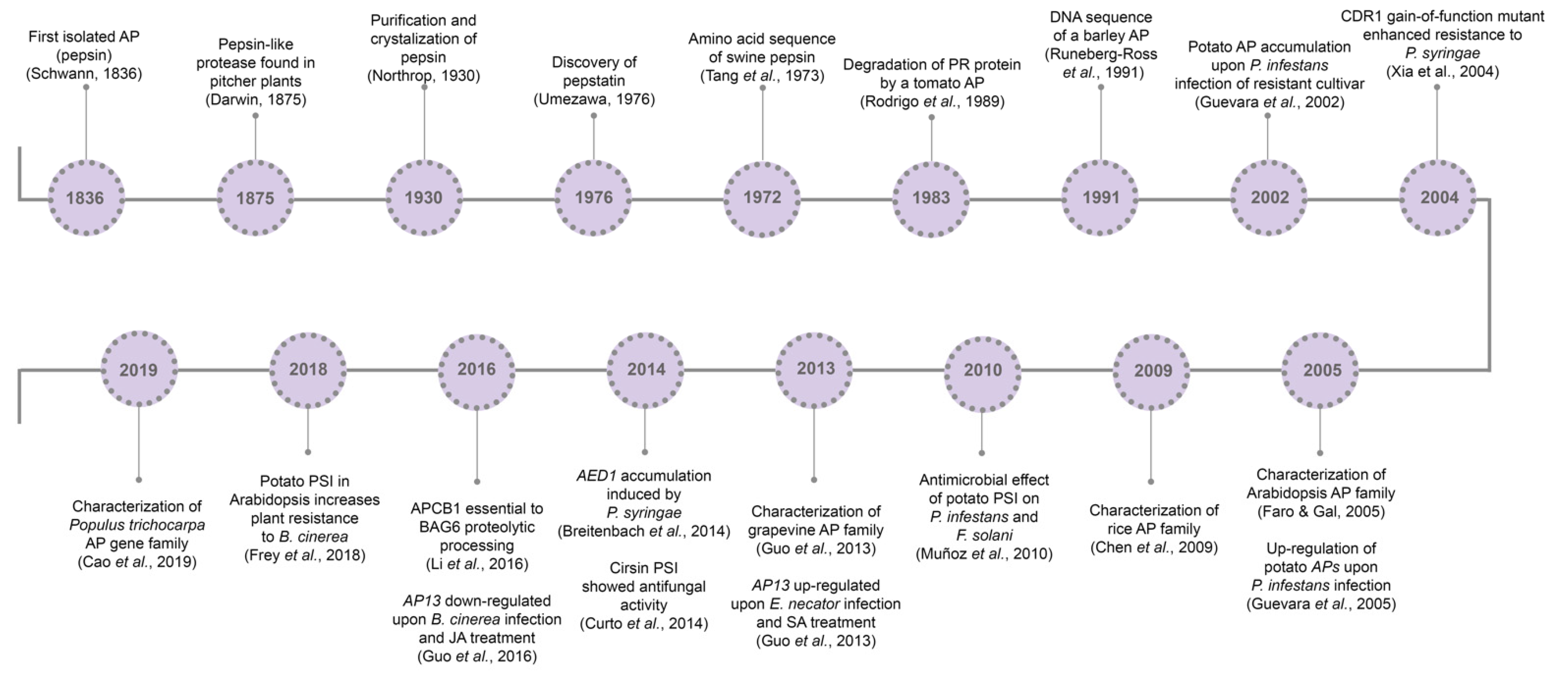 Biology 10 00075 g001