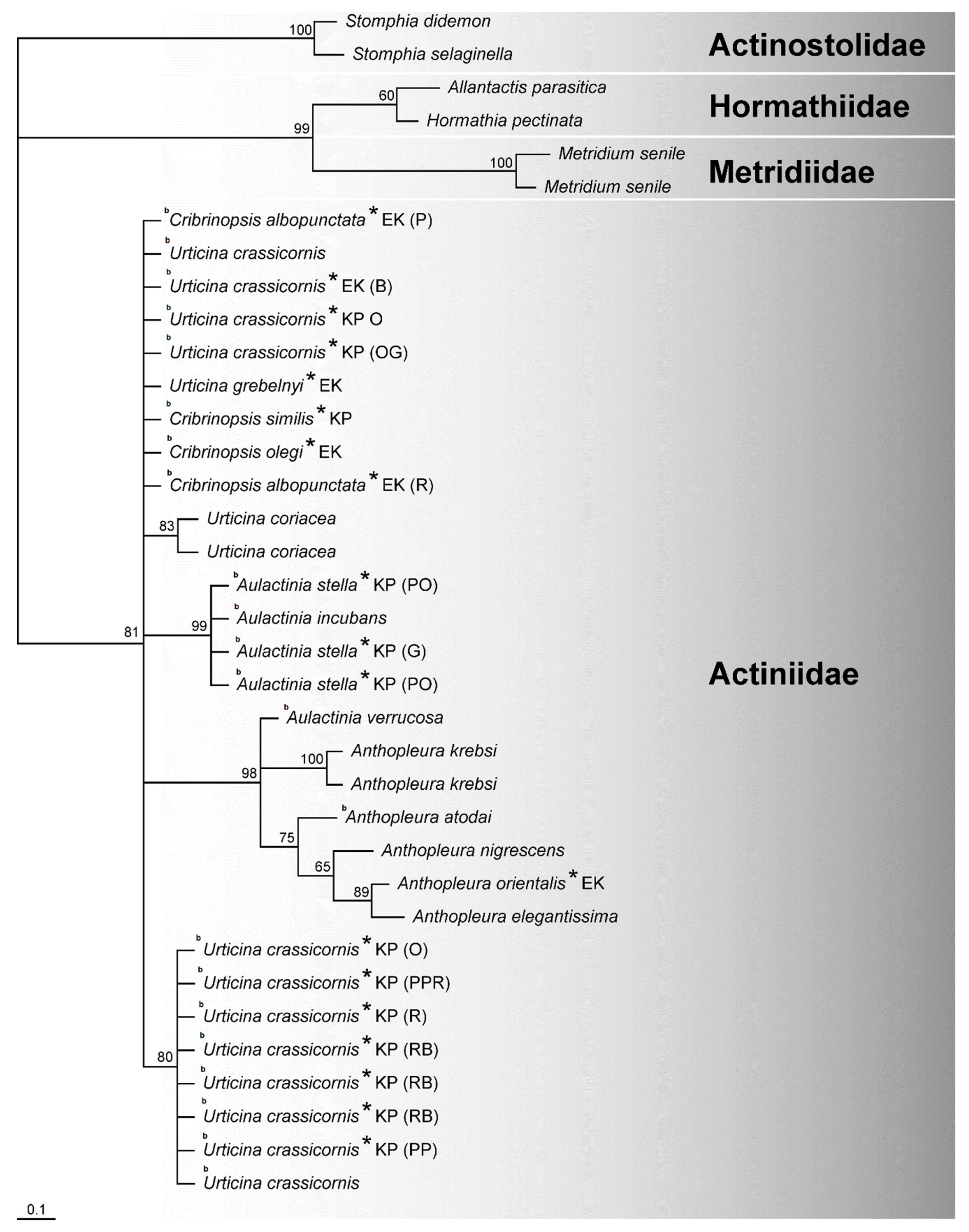 Biology 10 00081 g003