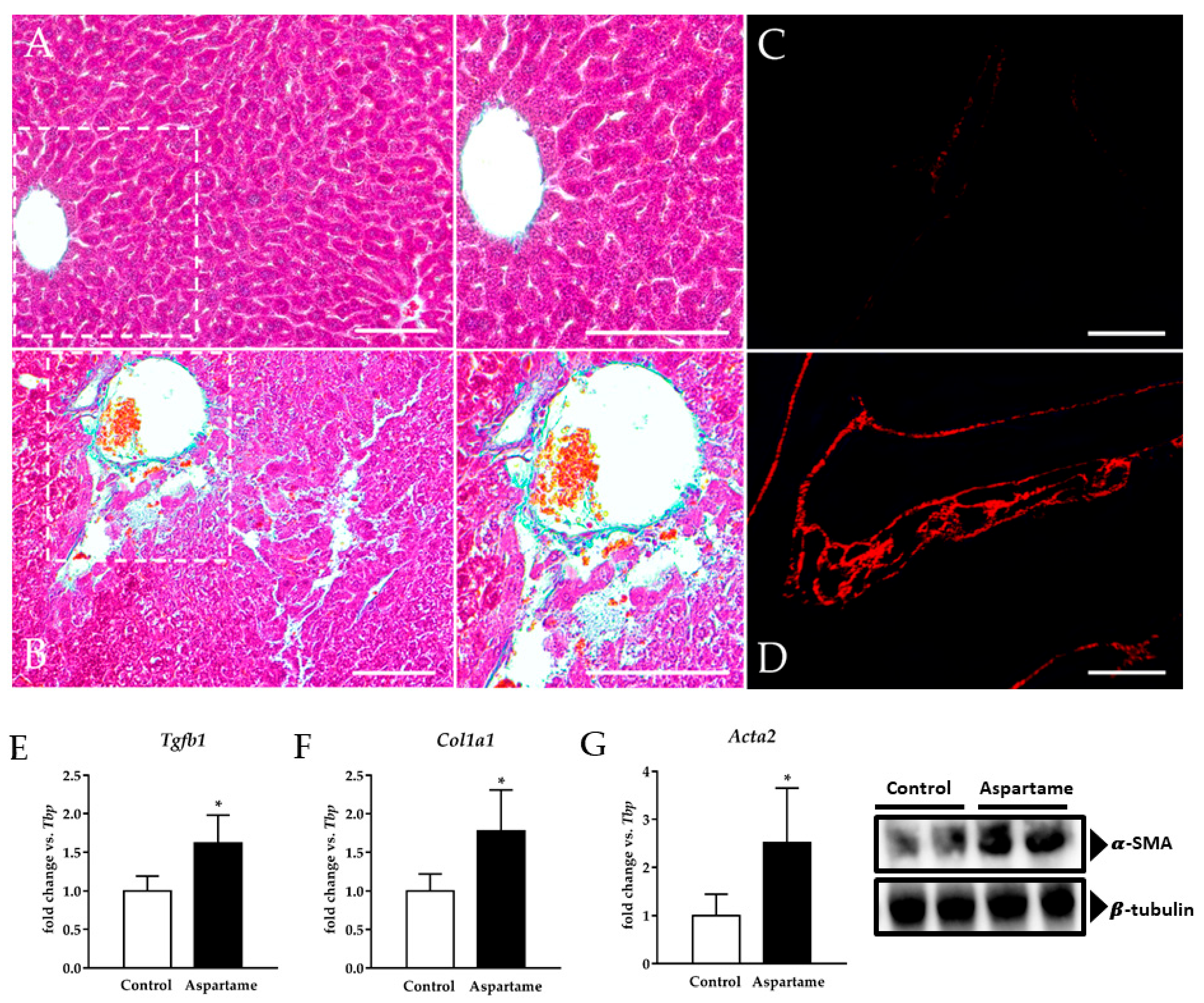 Biology 10 00082 g002