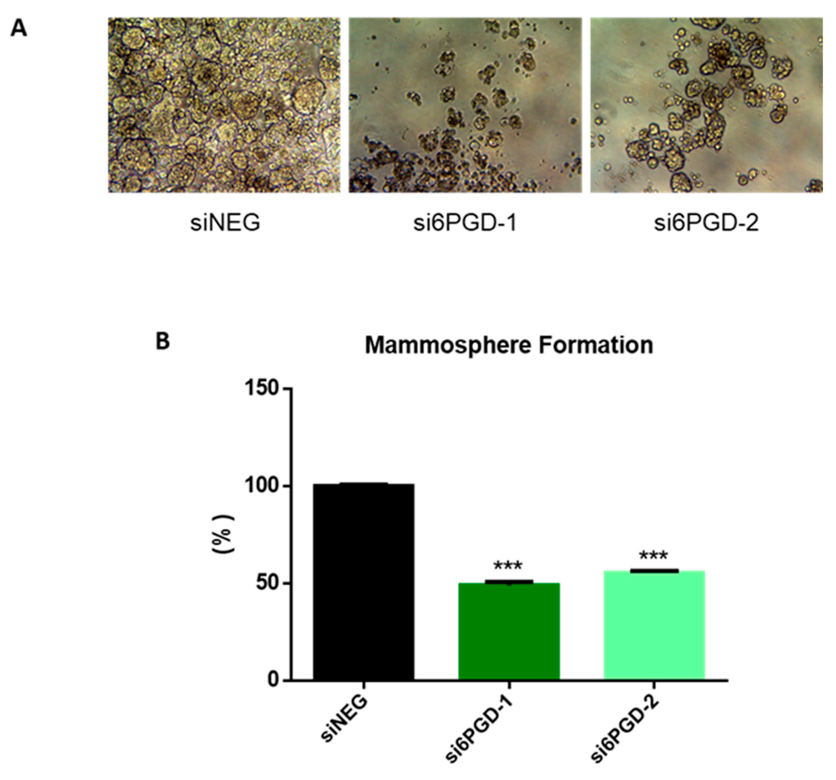 Biology 10 00085 g004