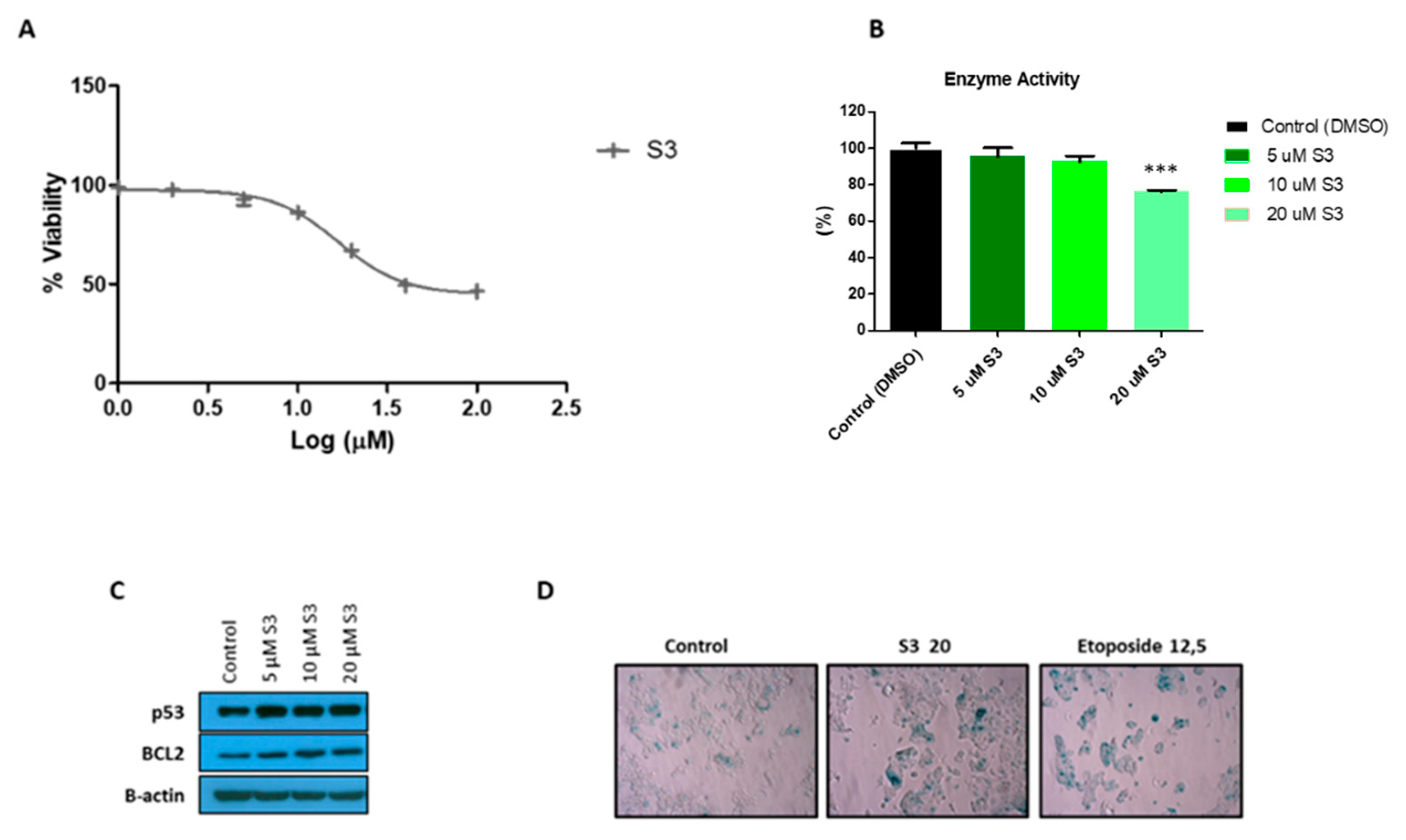 Biology 10 00085 g005