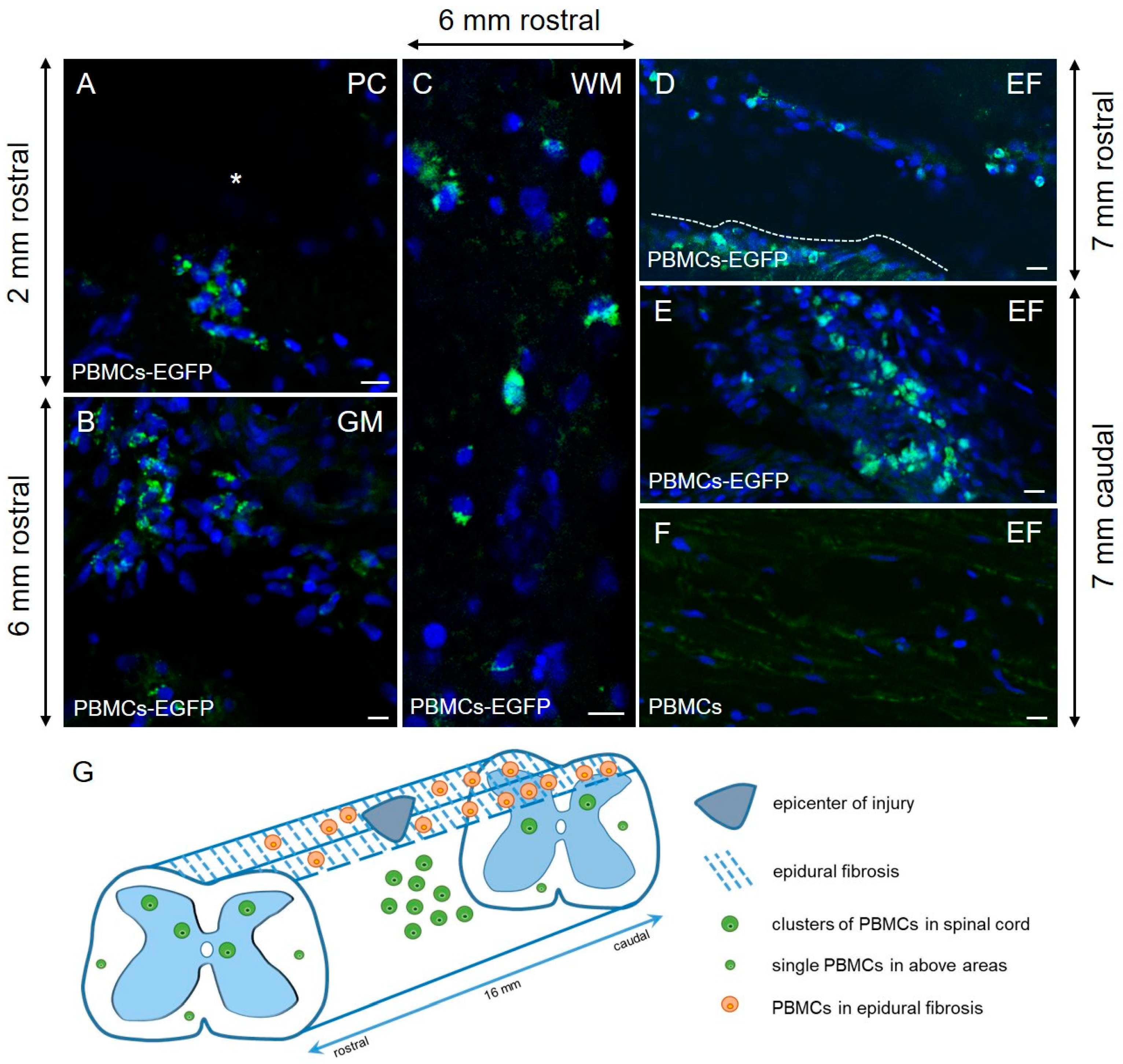 Biology 10 00087 g002