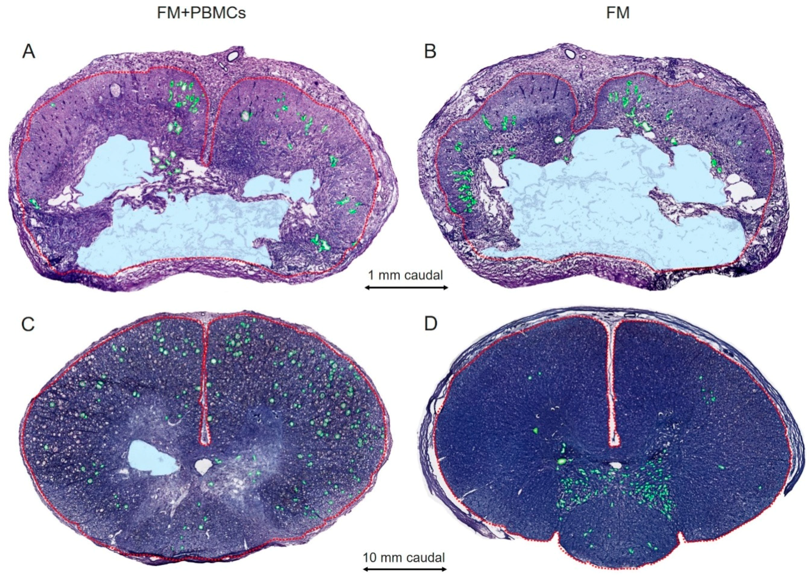 Biology 10 00087 g003
