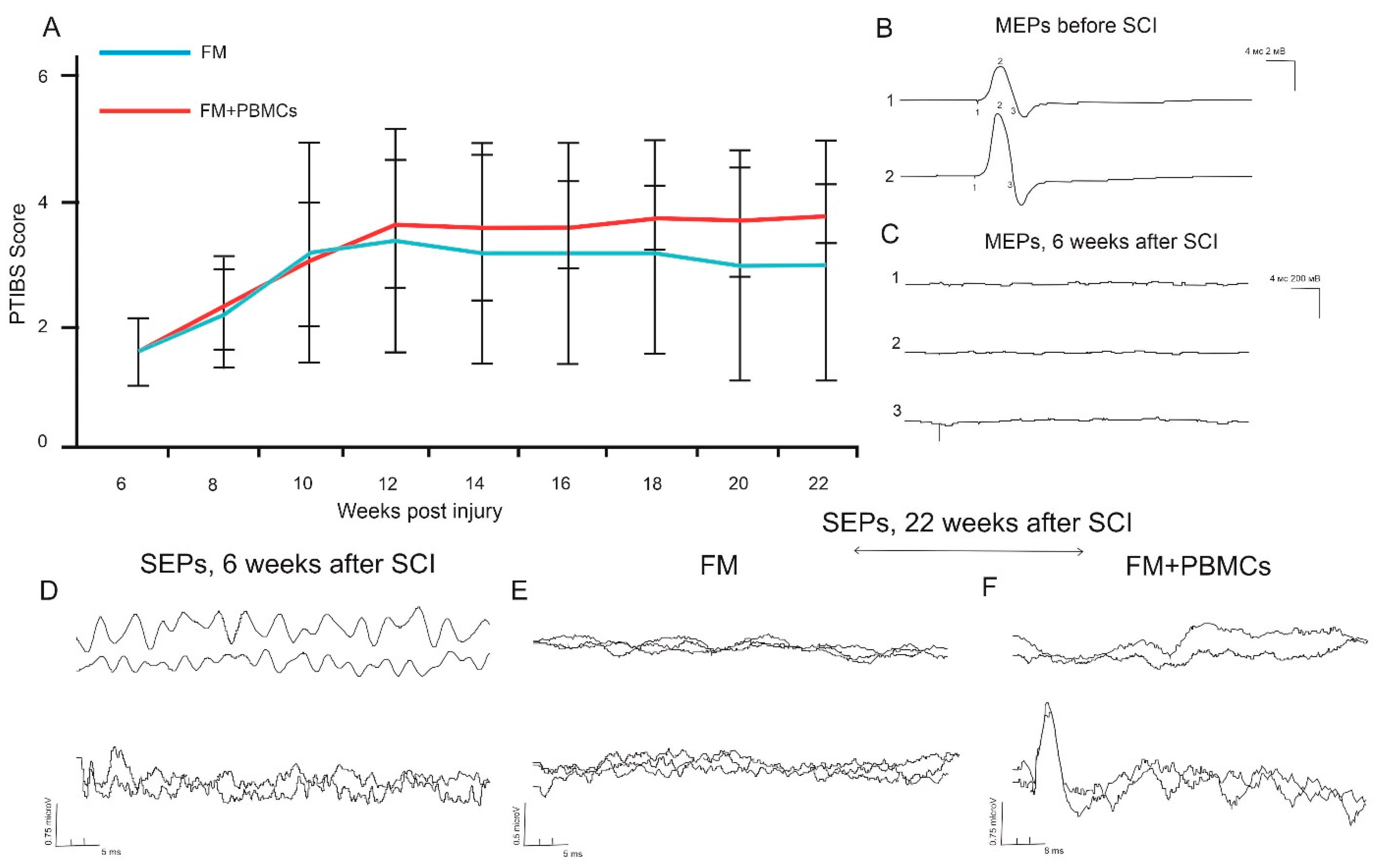 Biology 10 00087 g005