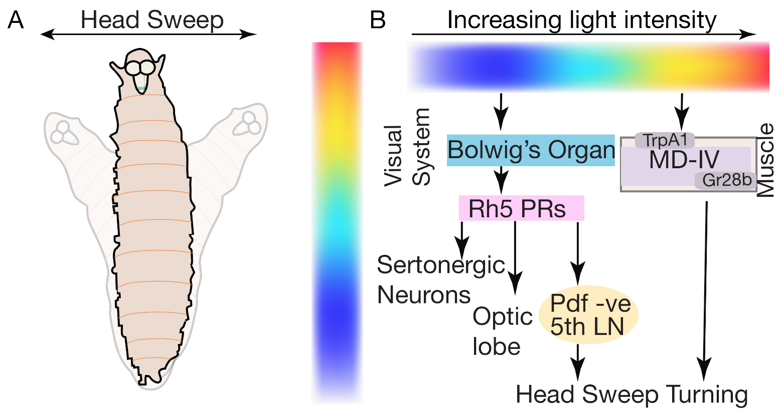 Biology 10 00090 g008 Biology 10 00090 g008