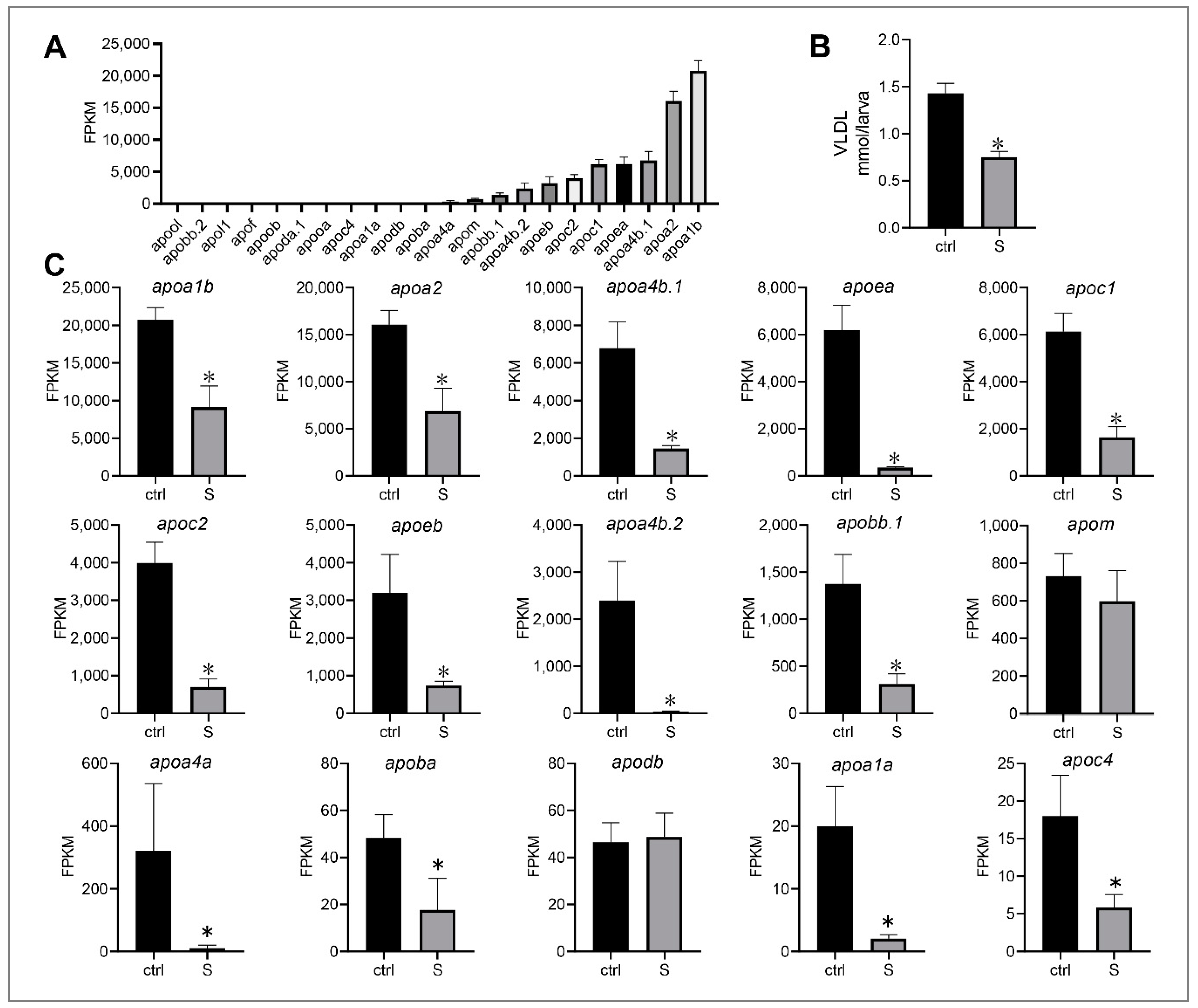 Biology 10 00092 g007