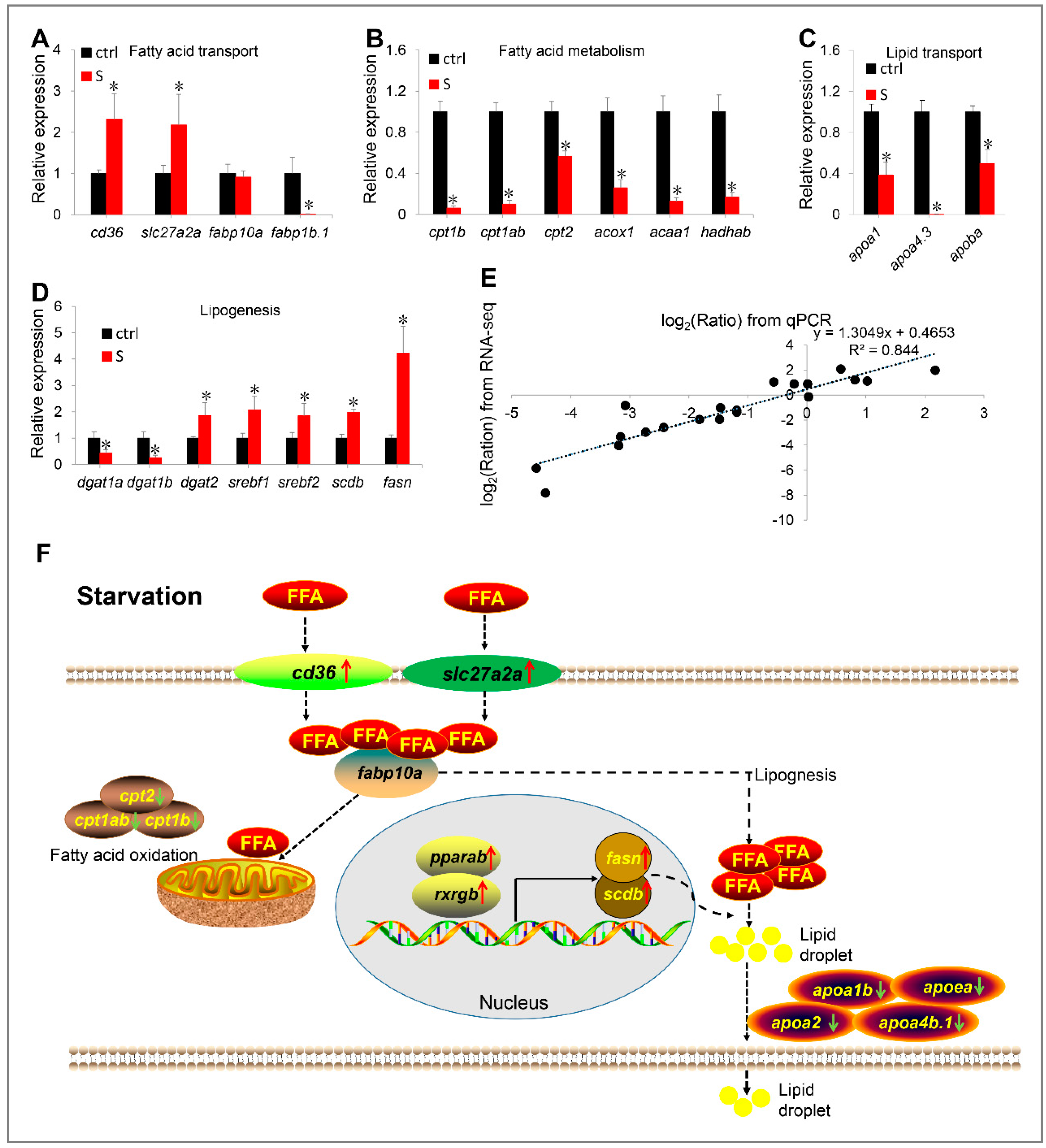 Biology 10 00092 g008