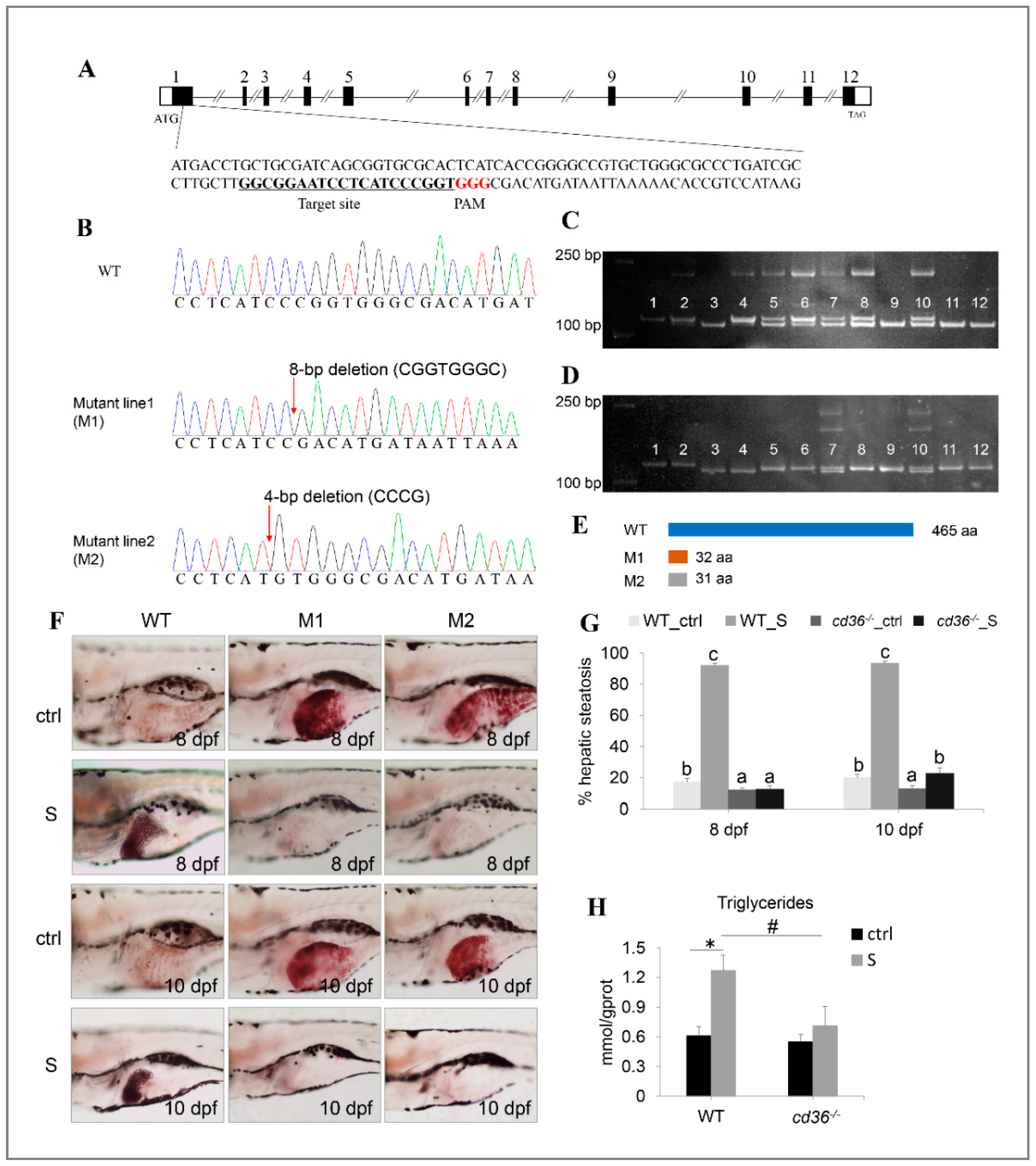 Biology 10 00092 g009