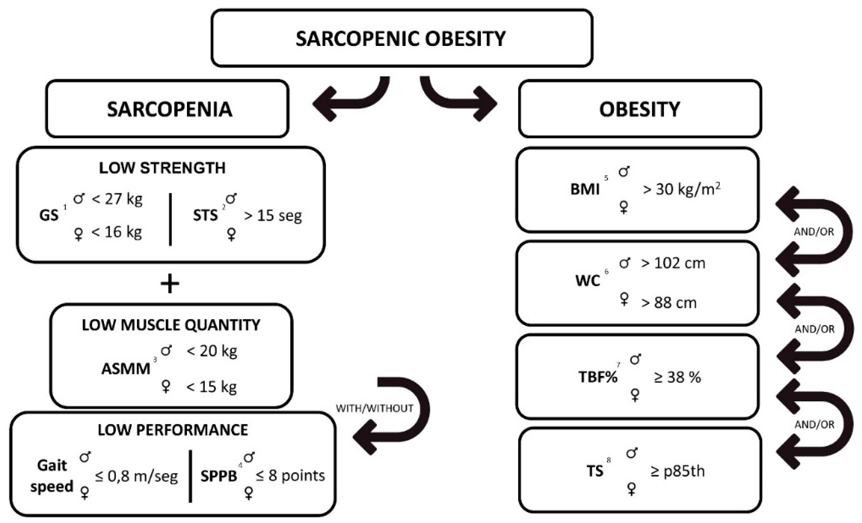 Biology 10 00093 g001