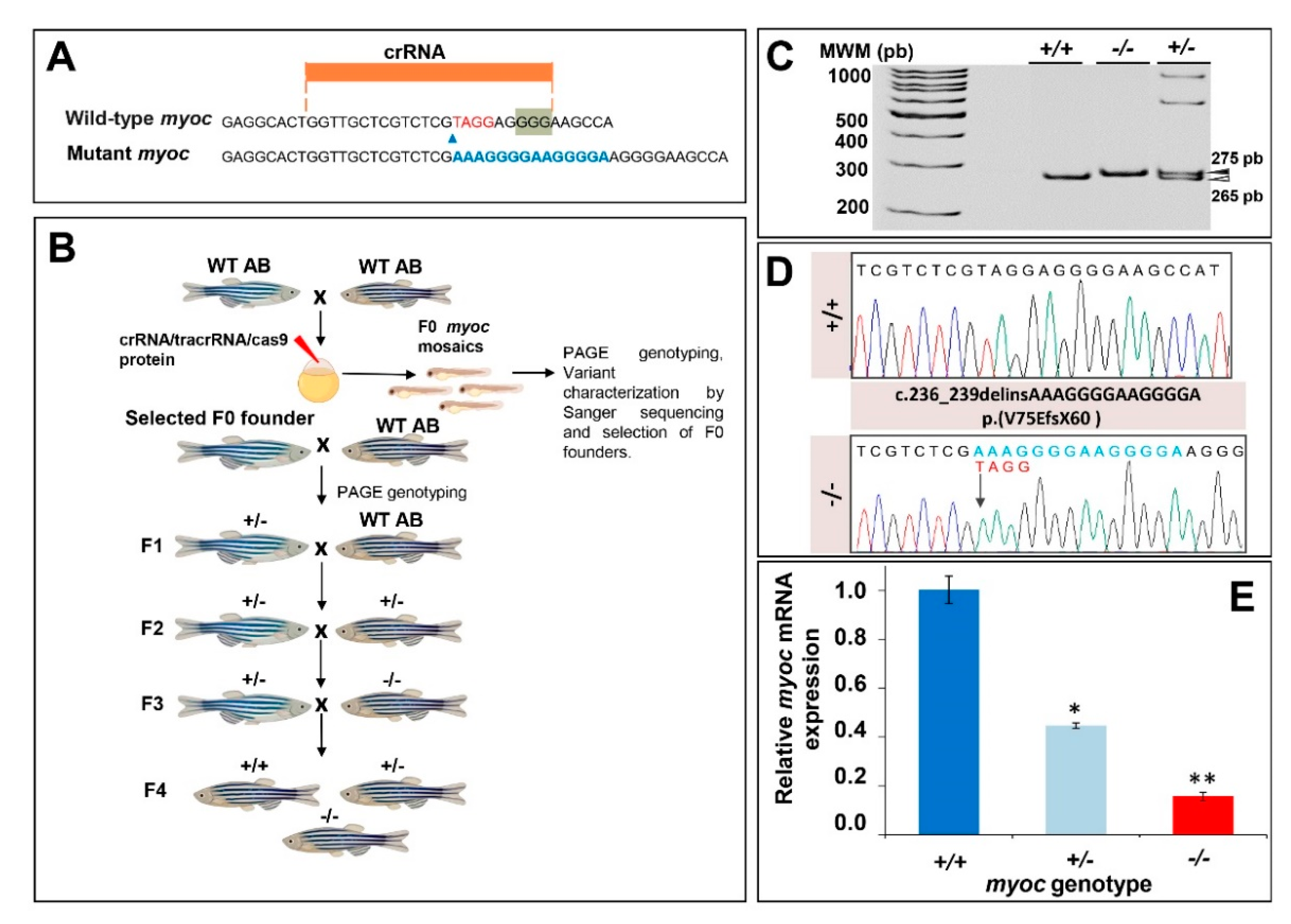 Biology 10 00098 g001