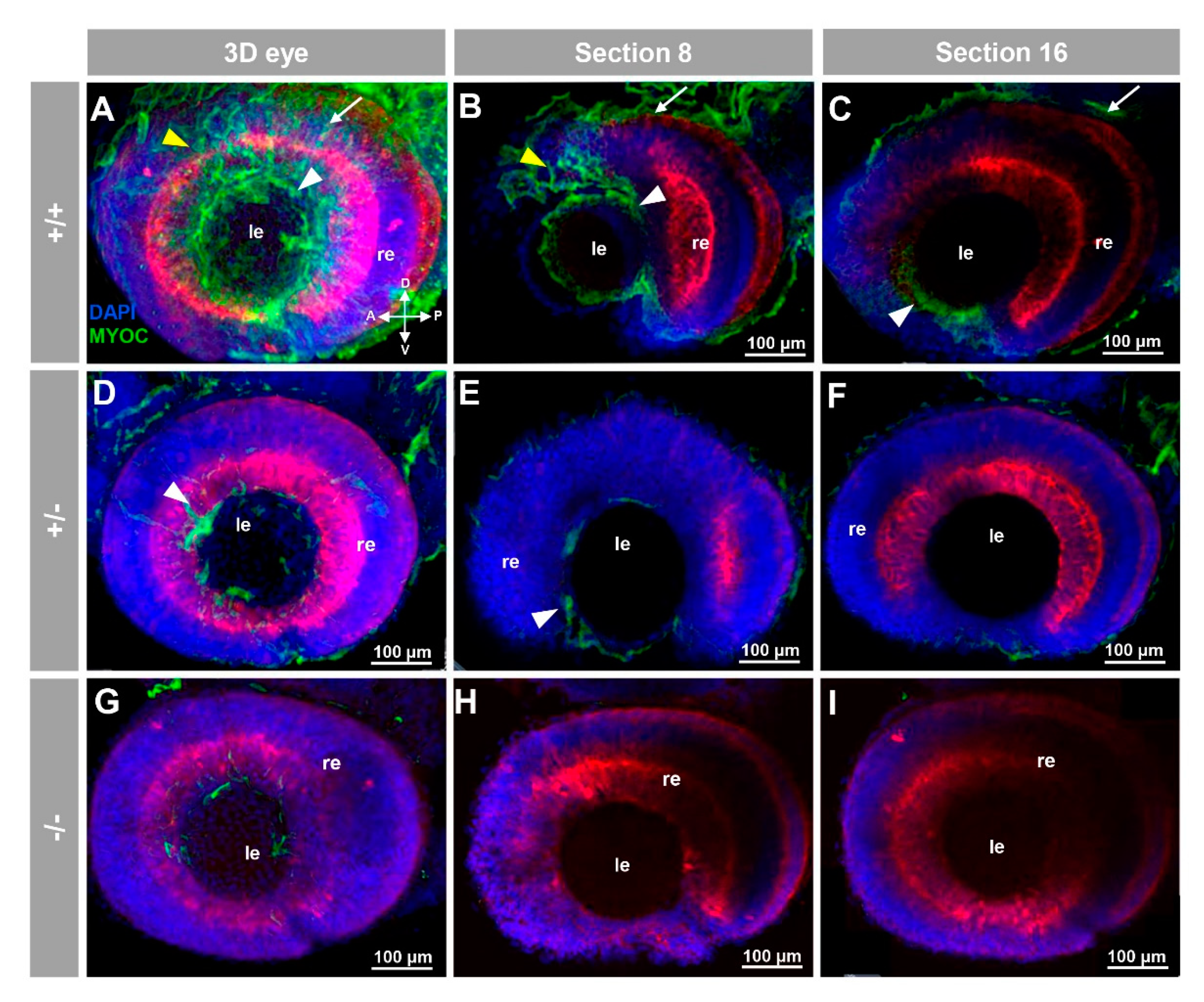 Biology 10 00098 g002