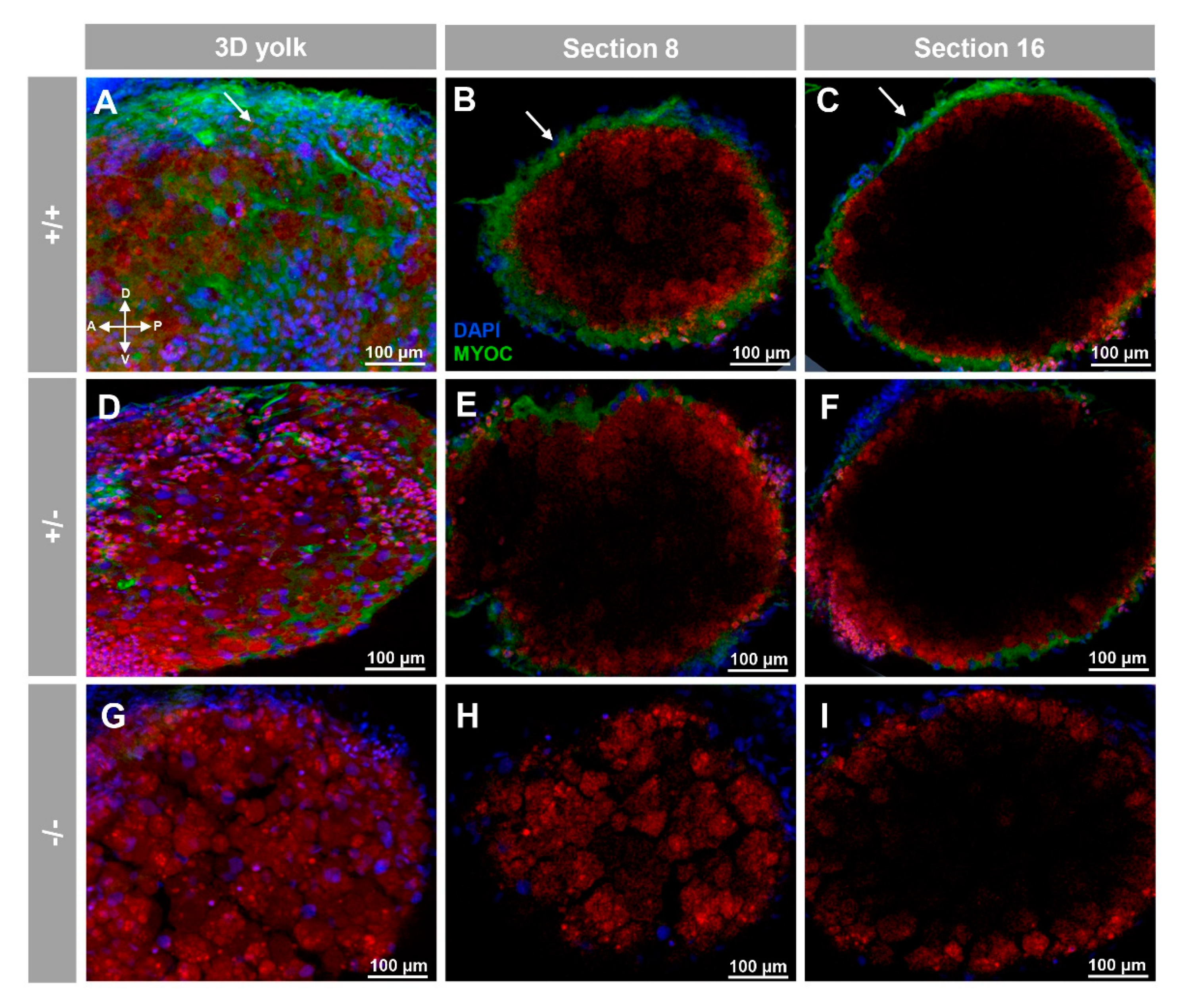 Biology 10 00098 g003