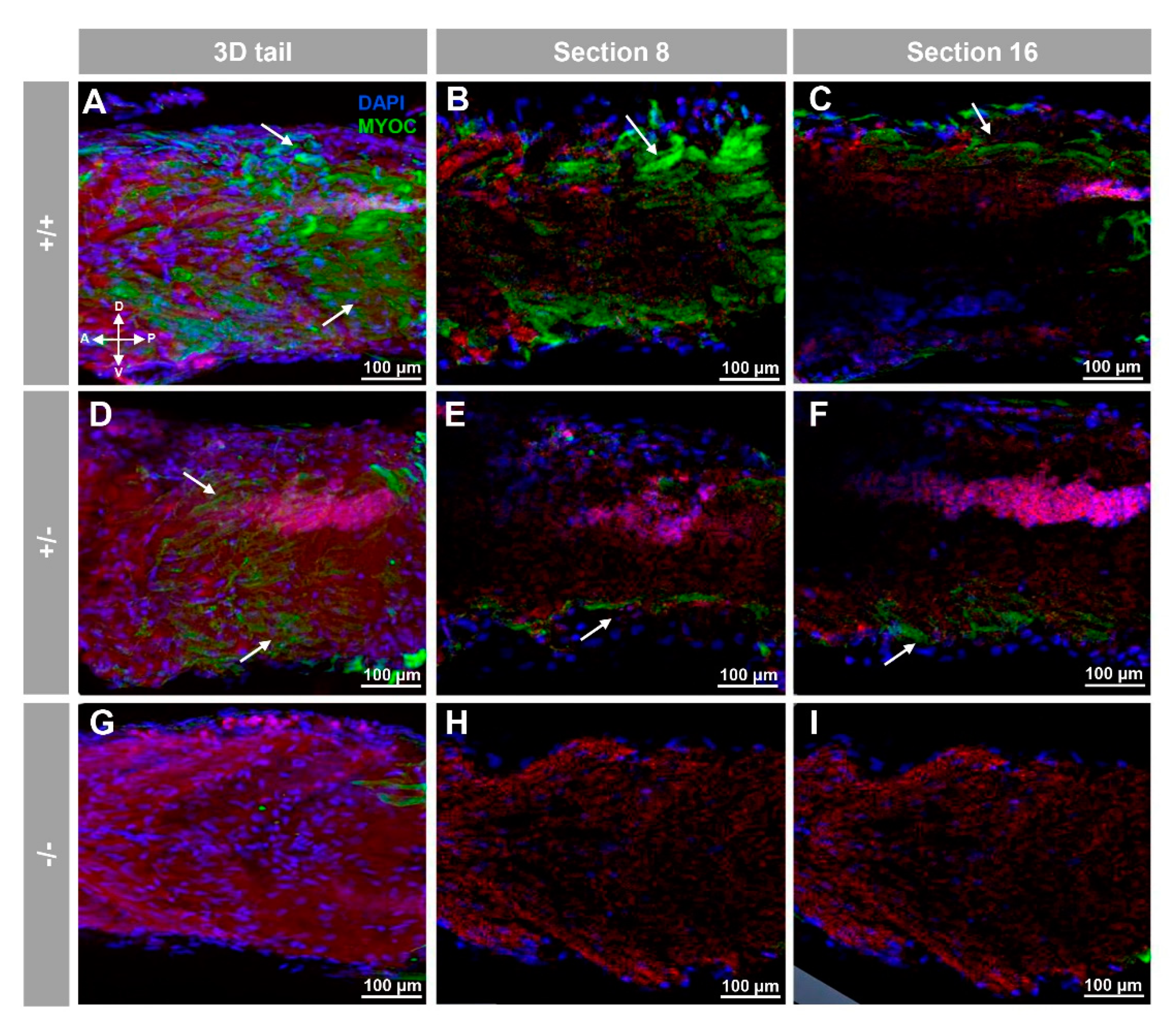 Biology 10 00098 g004