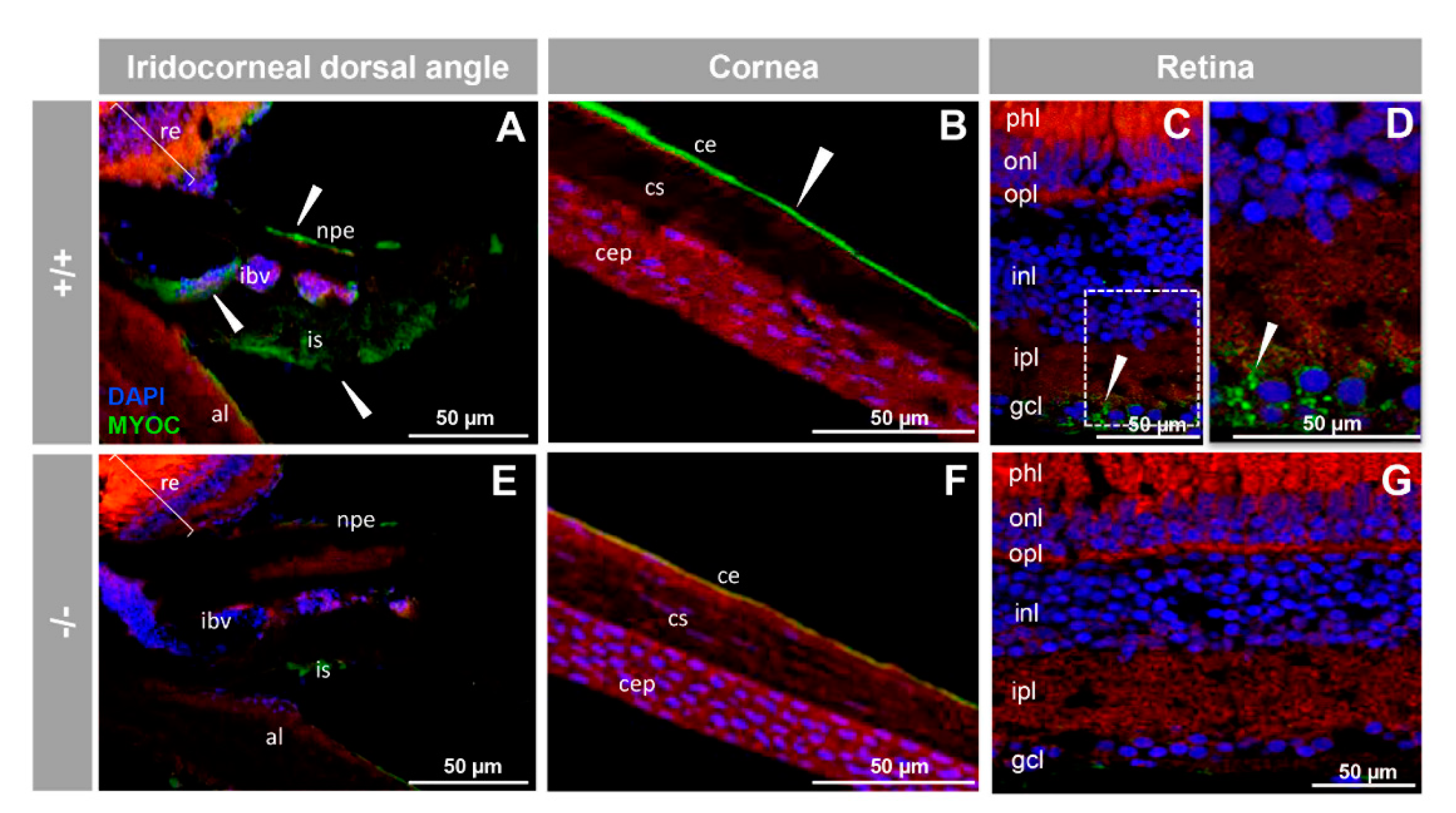 Biology 10 00098 g005