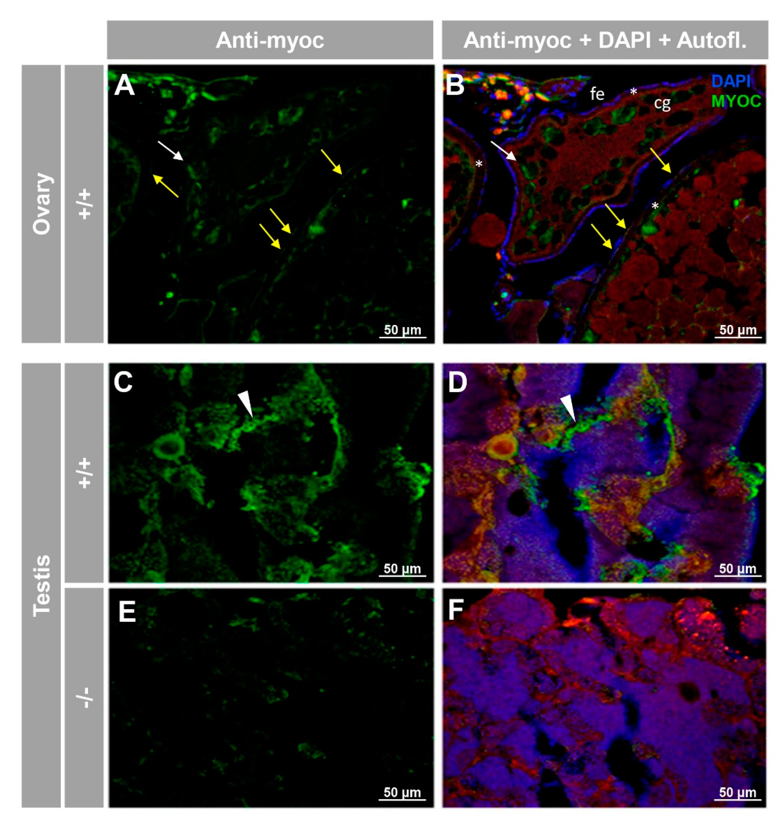 Biology 10 00098 g007