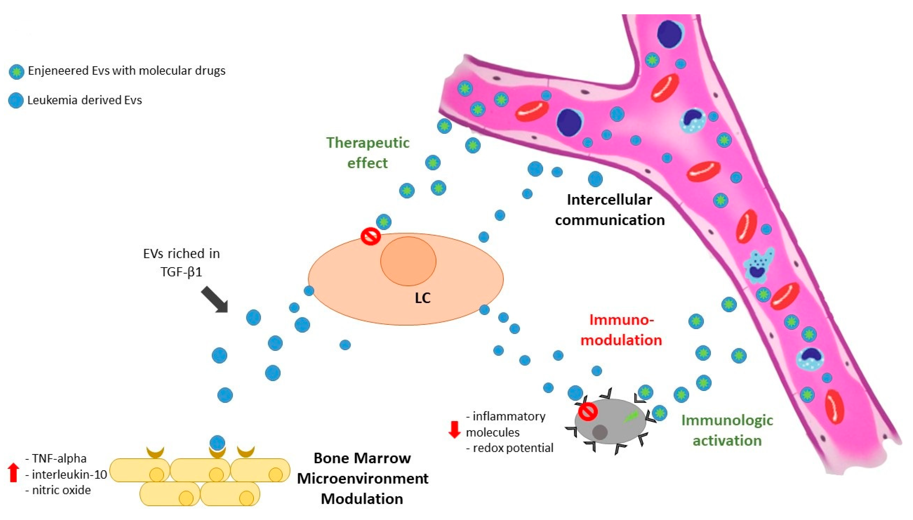 Biology 10 00105 g001