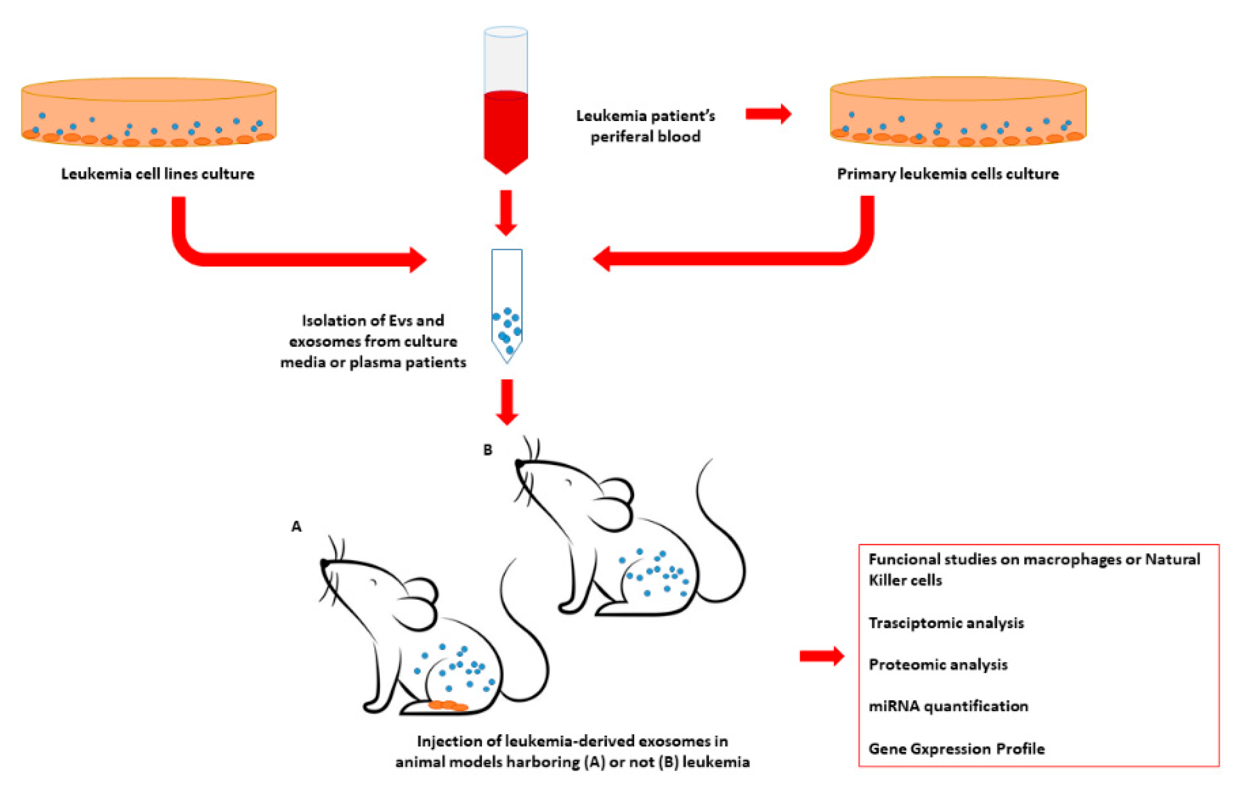 Biology 10 00105 g002