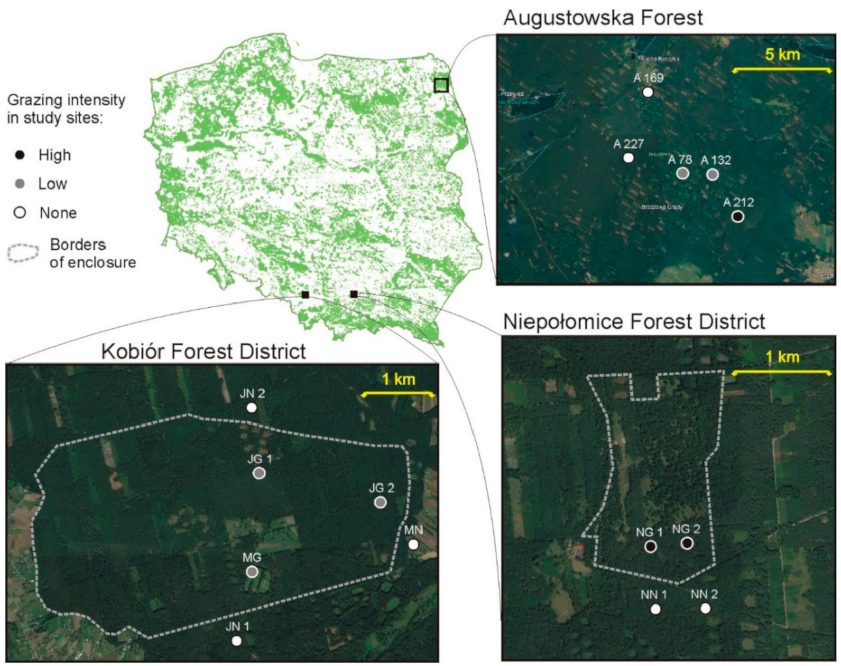 Biology 10 00123 g001 Biology 10 00123 g001