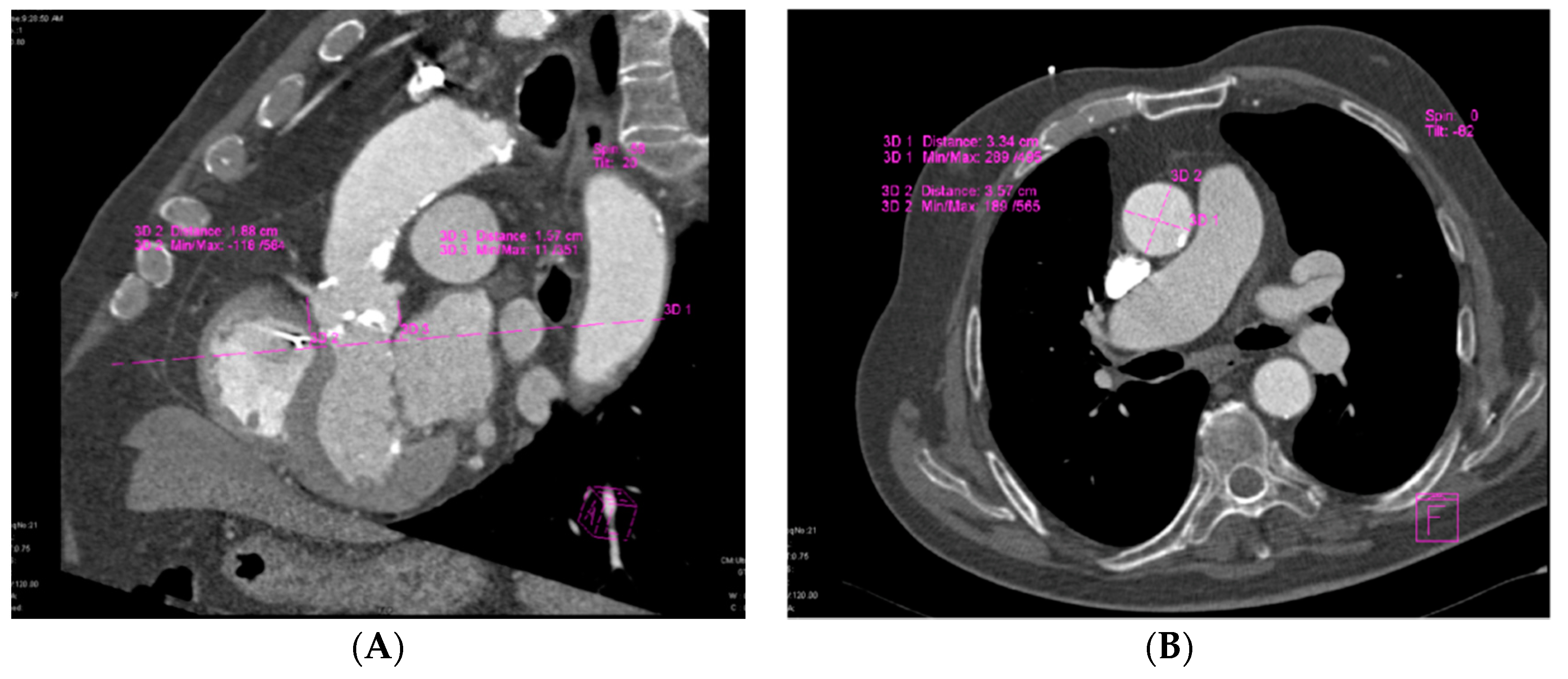 Biology 10 00132 g001