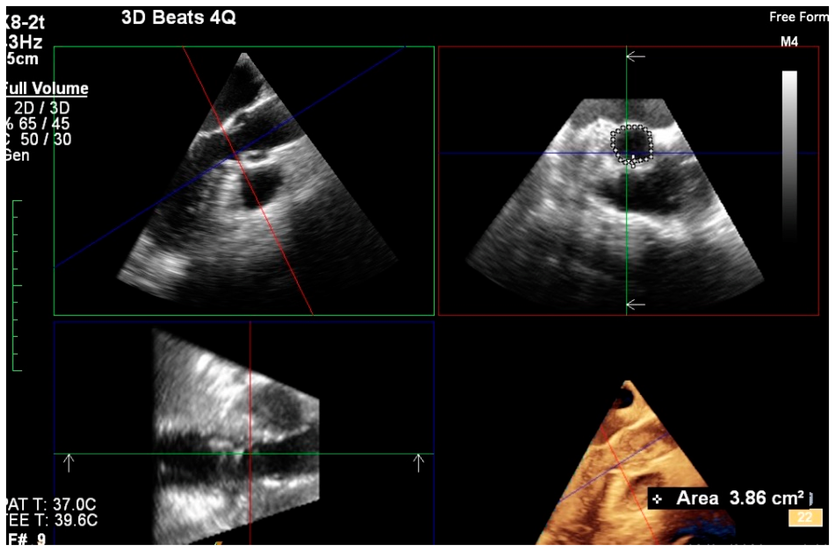 Biology 10 00132 g002