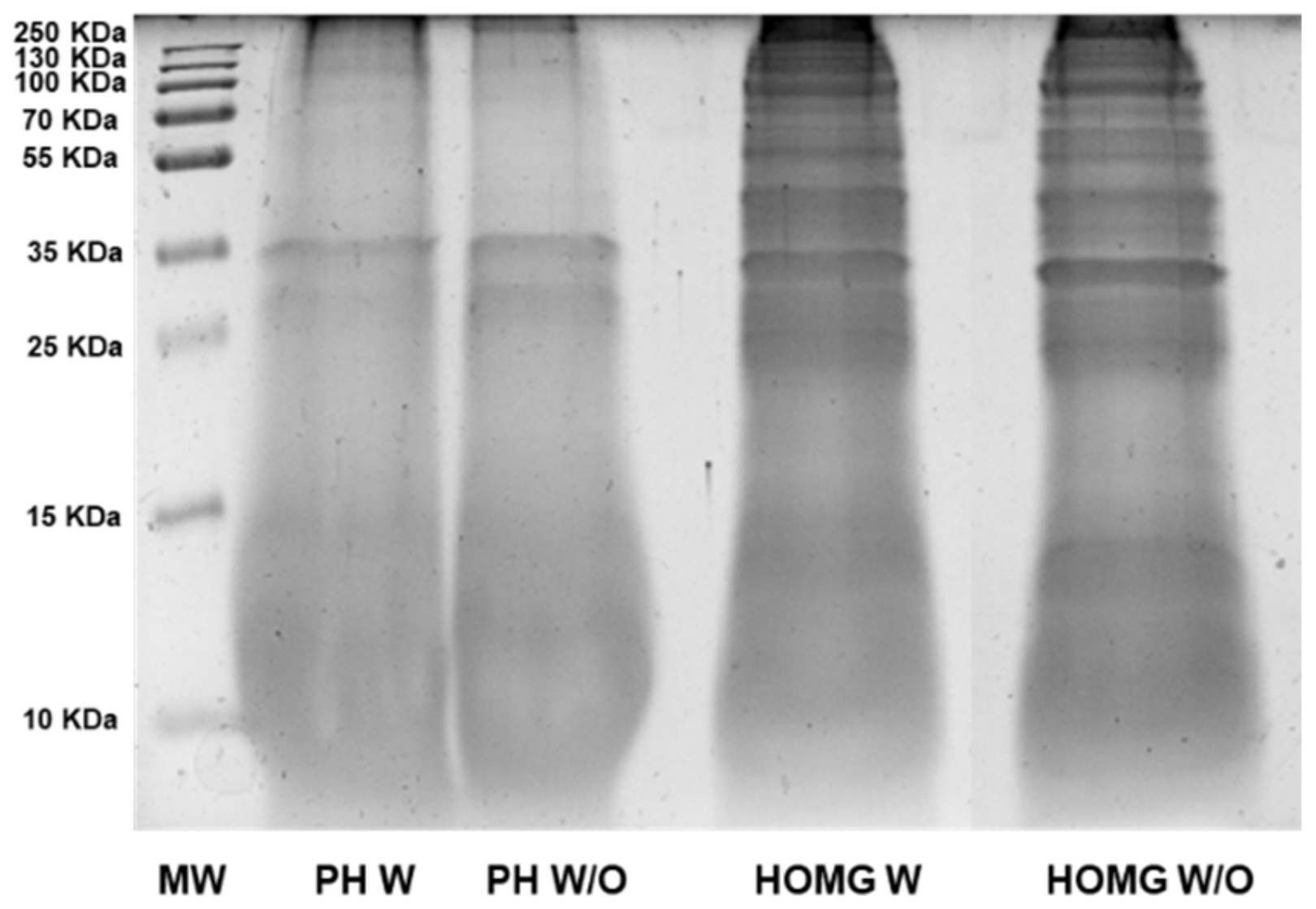 Biology 10 00134 g002