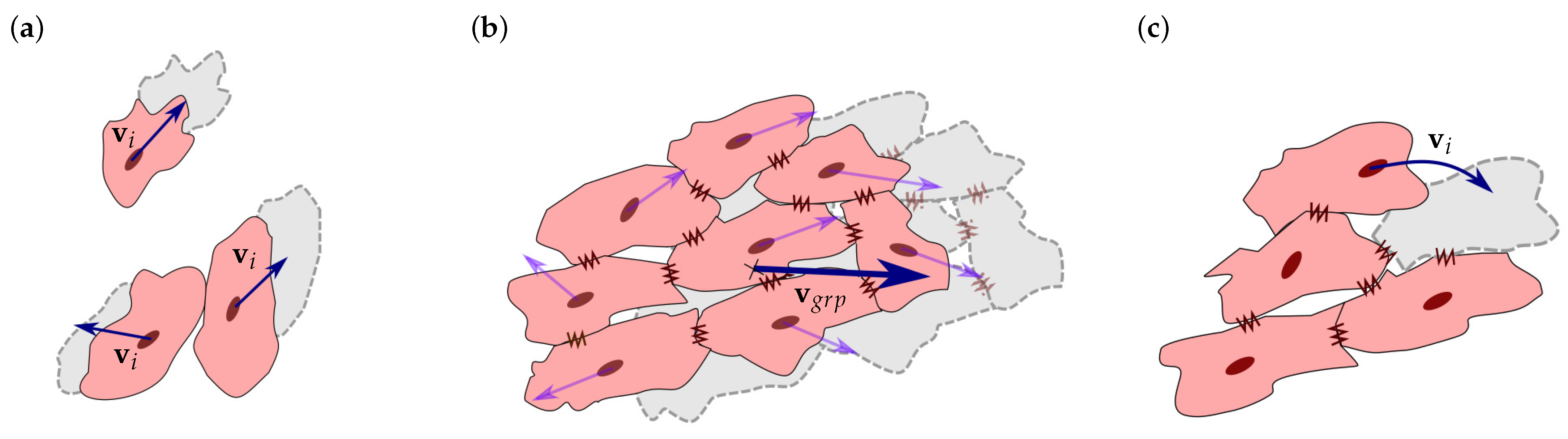 Biology 10 00135 g003
