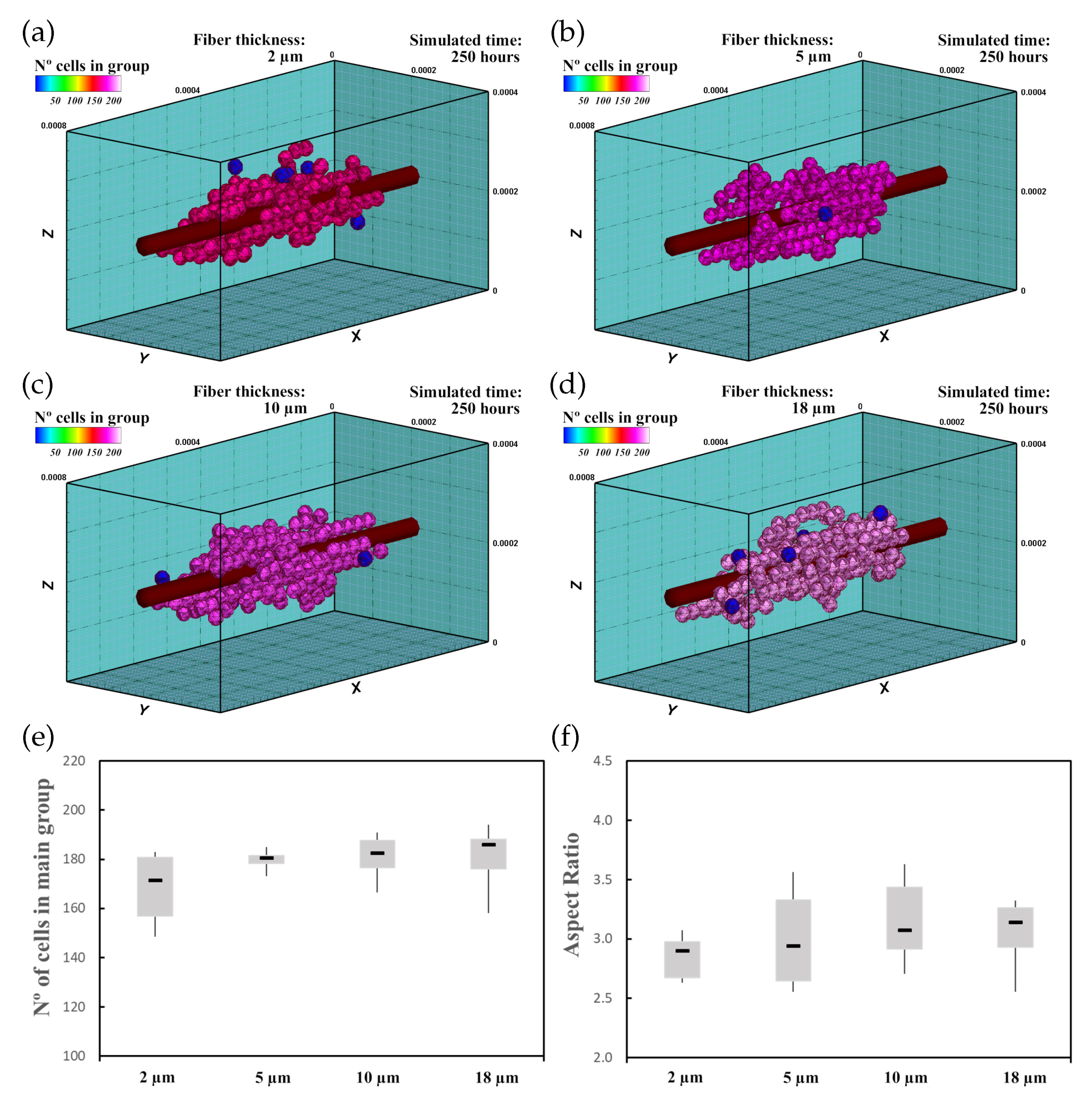Biology 10 00135 g008