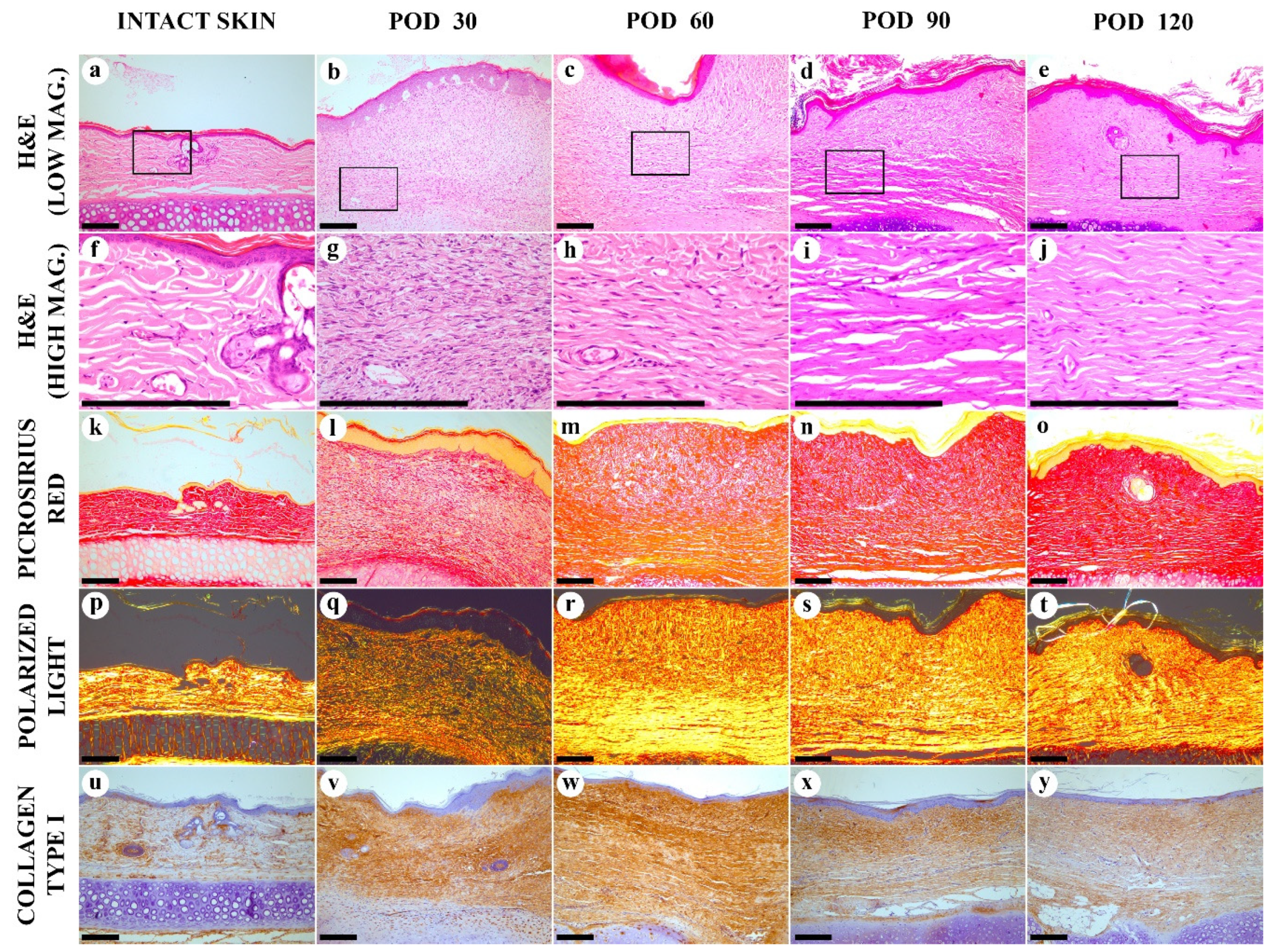 Biology 10 00136 g002