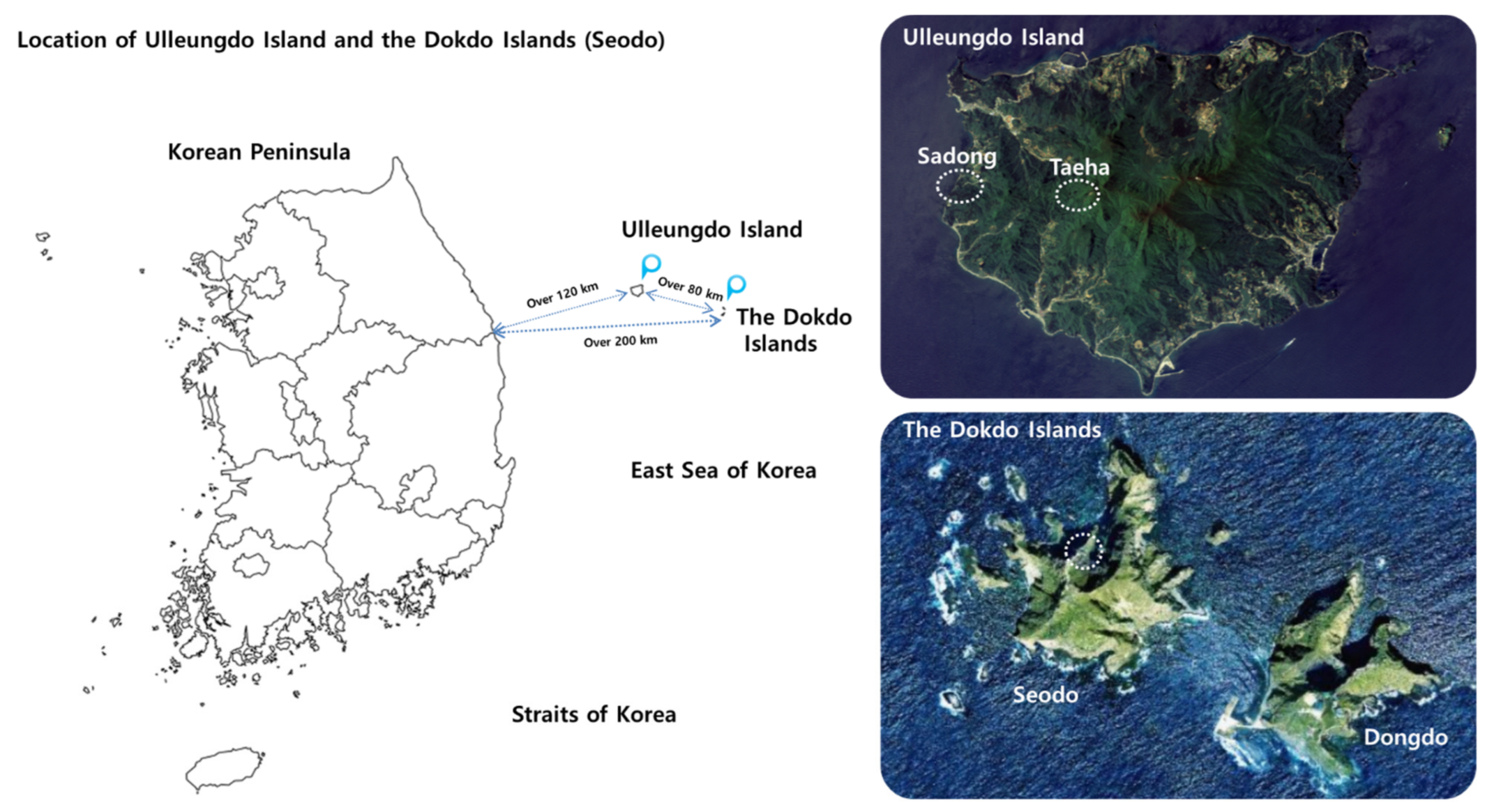 Biology 10 00138 g001