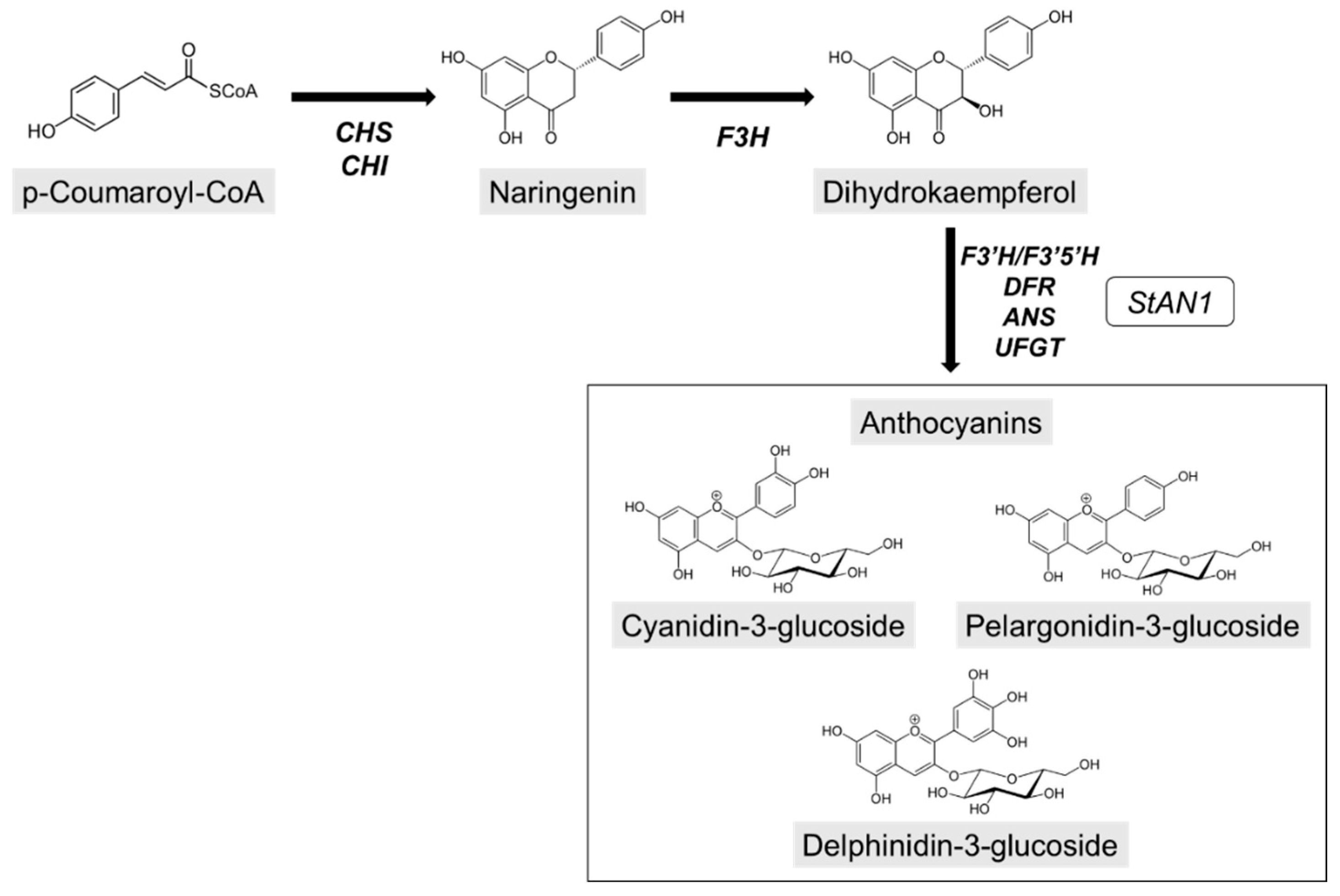 Biology 10 00139 g001