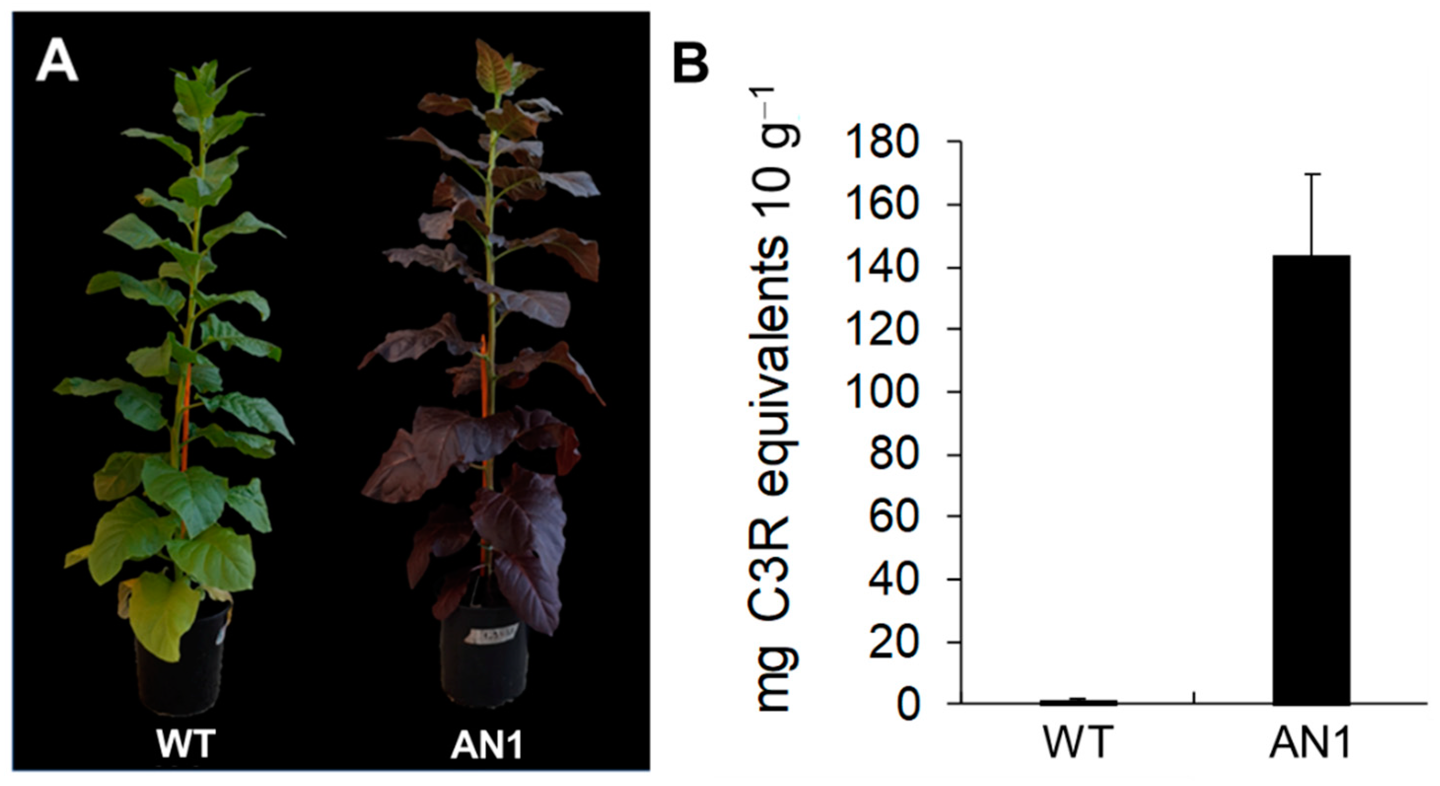 Biology 10 00139 g002